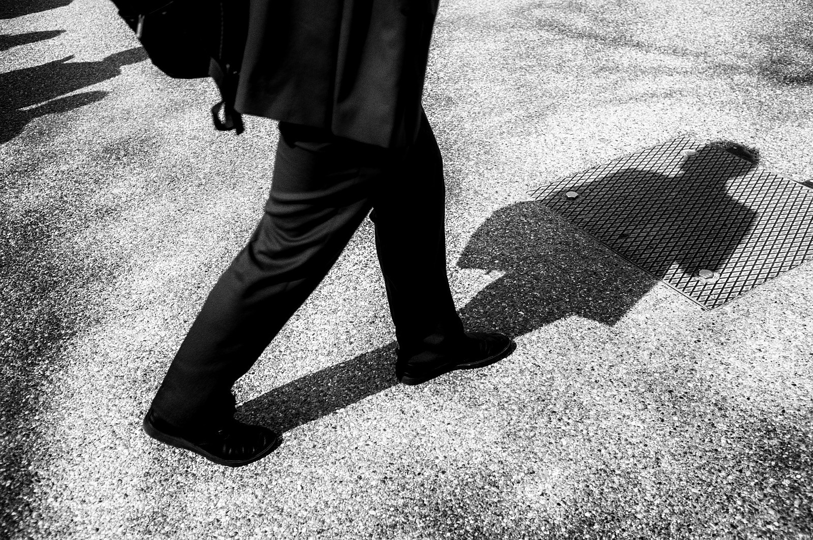 Fujifilm FinePix X100 sample photo. The japanese photography