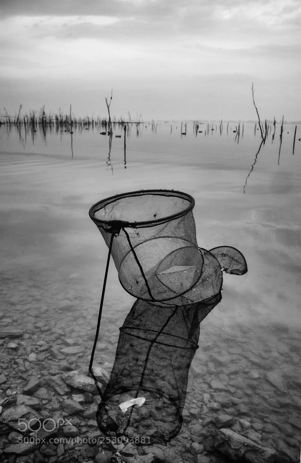 Canon EOS 40D sample photo. The trap photography