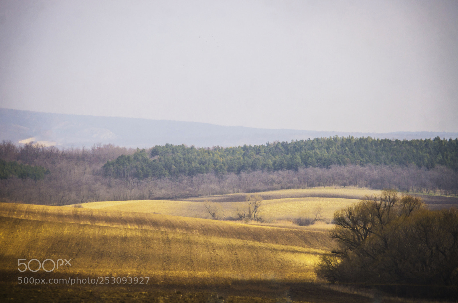 Pentax K-5 sample photo. Hungary. photography
