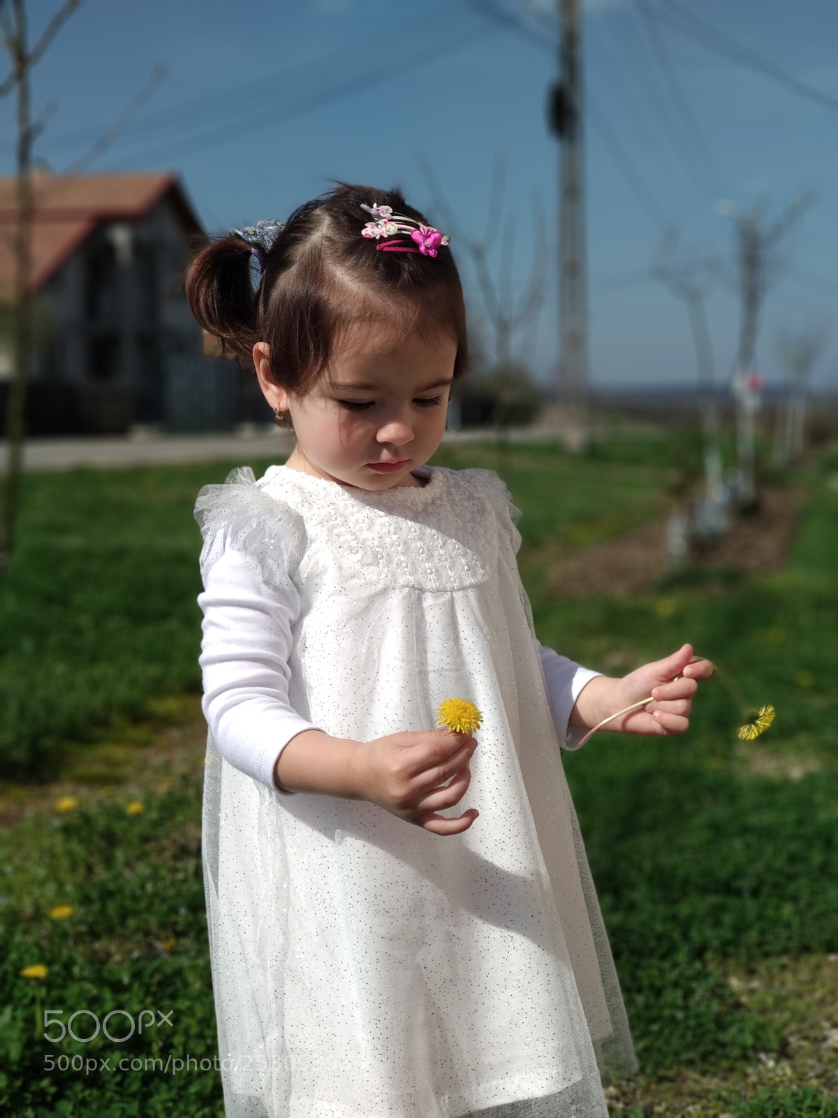 Xiaomi Mi A1 sample photo. Untitled photography