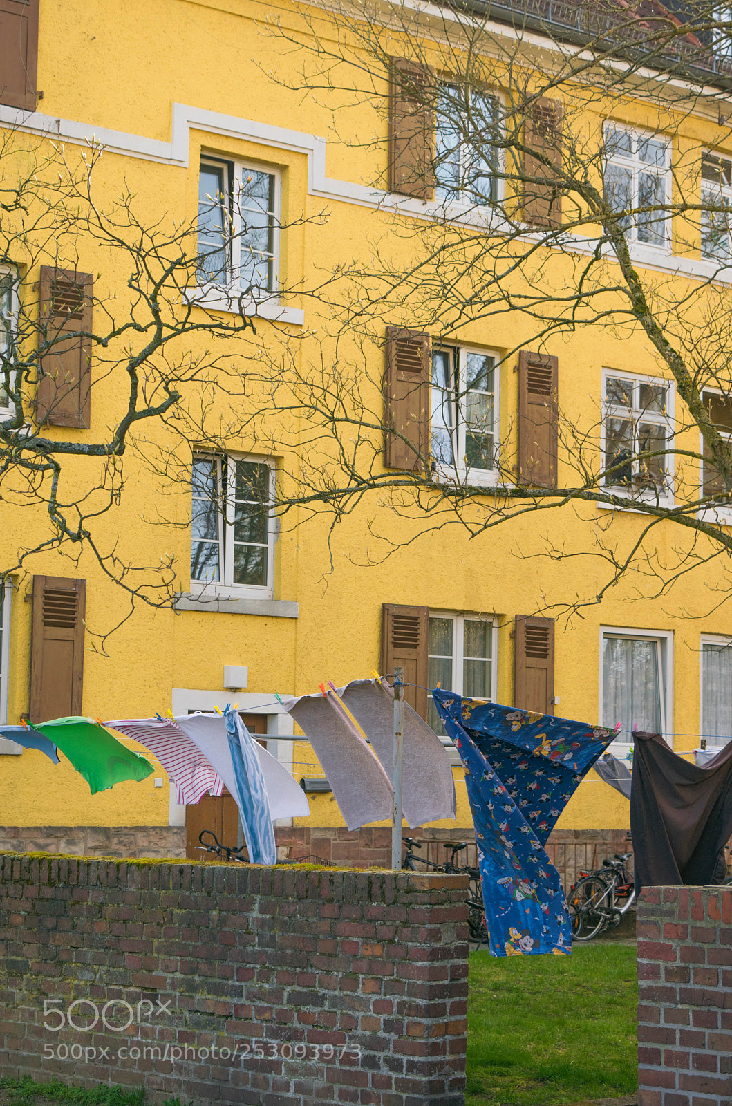 Nikon D3300 sample photo. Ordinary days in the photography