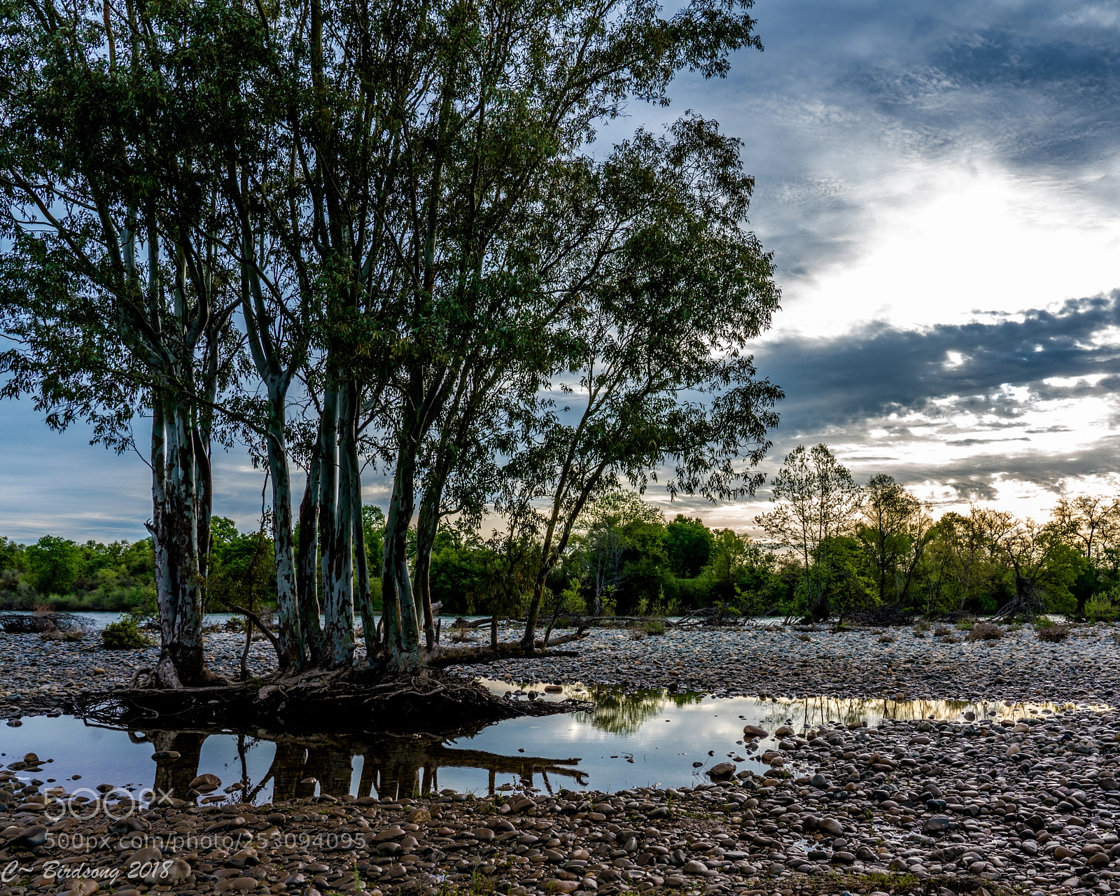 Sony a7R III sample photo. 01801674.jpg photography