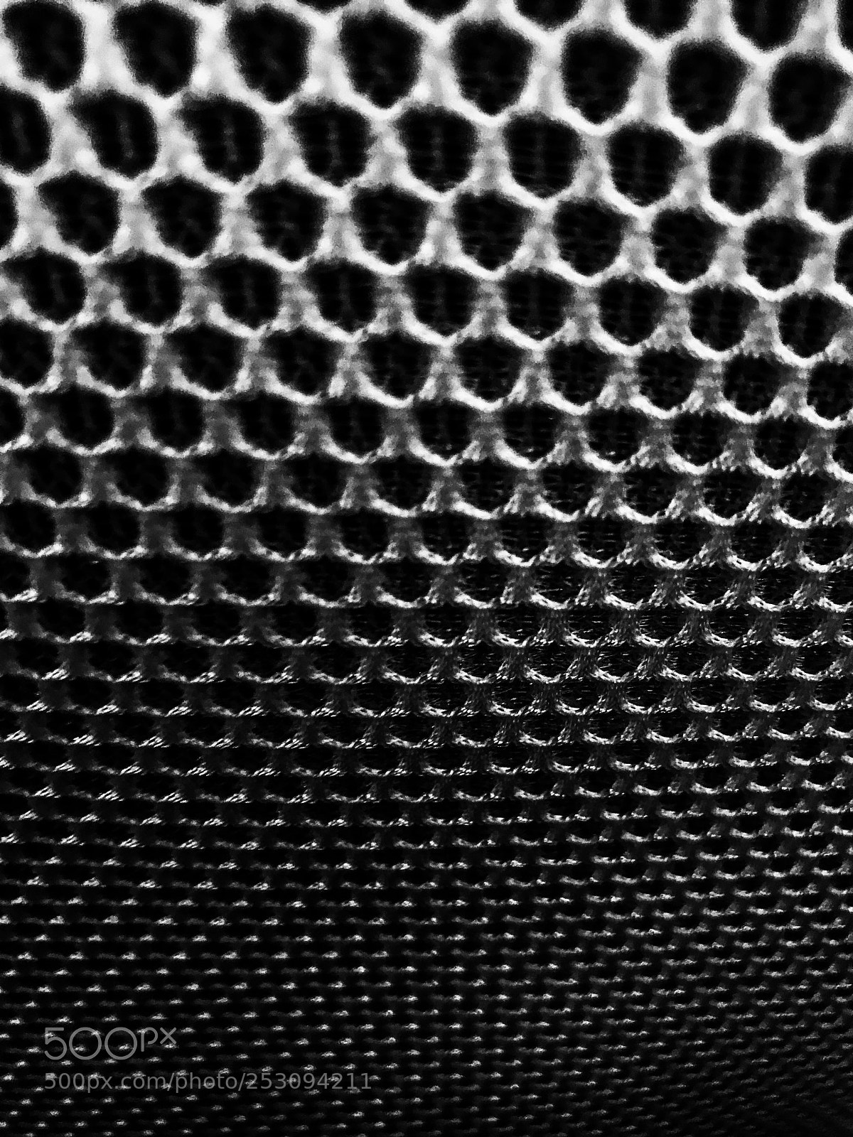 Apple iPhone 7 Plus sample photo. Strings photography