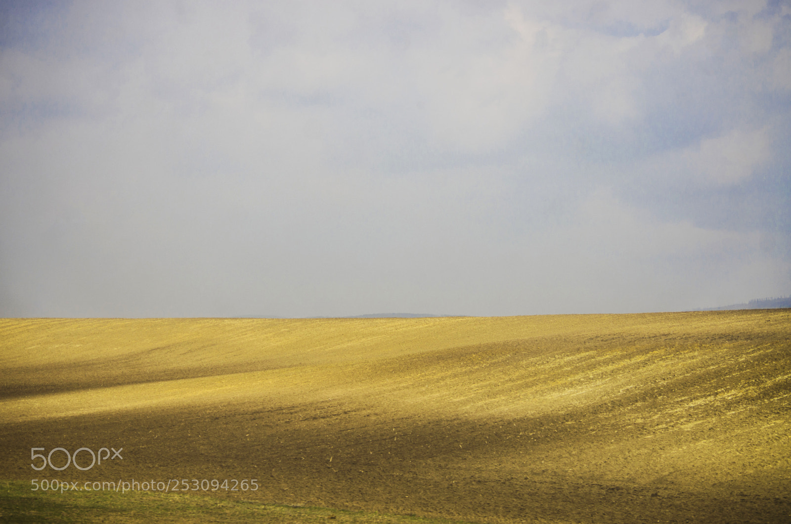 Pentax K-5 sample photo. Golden fields photography