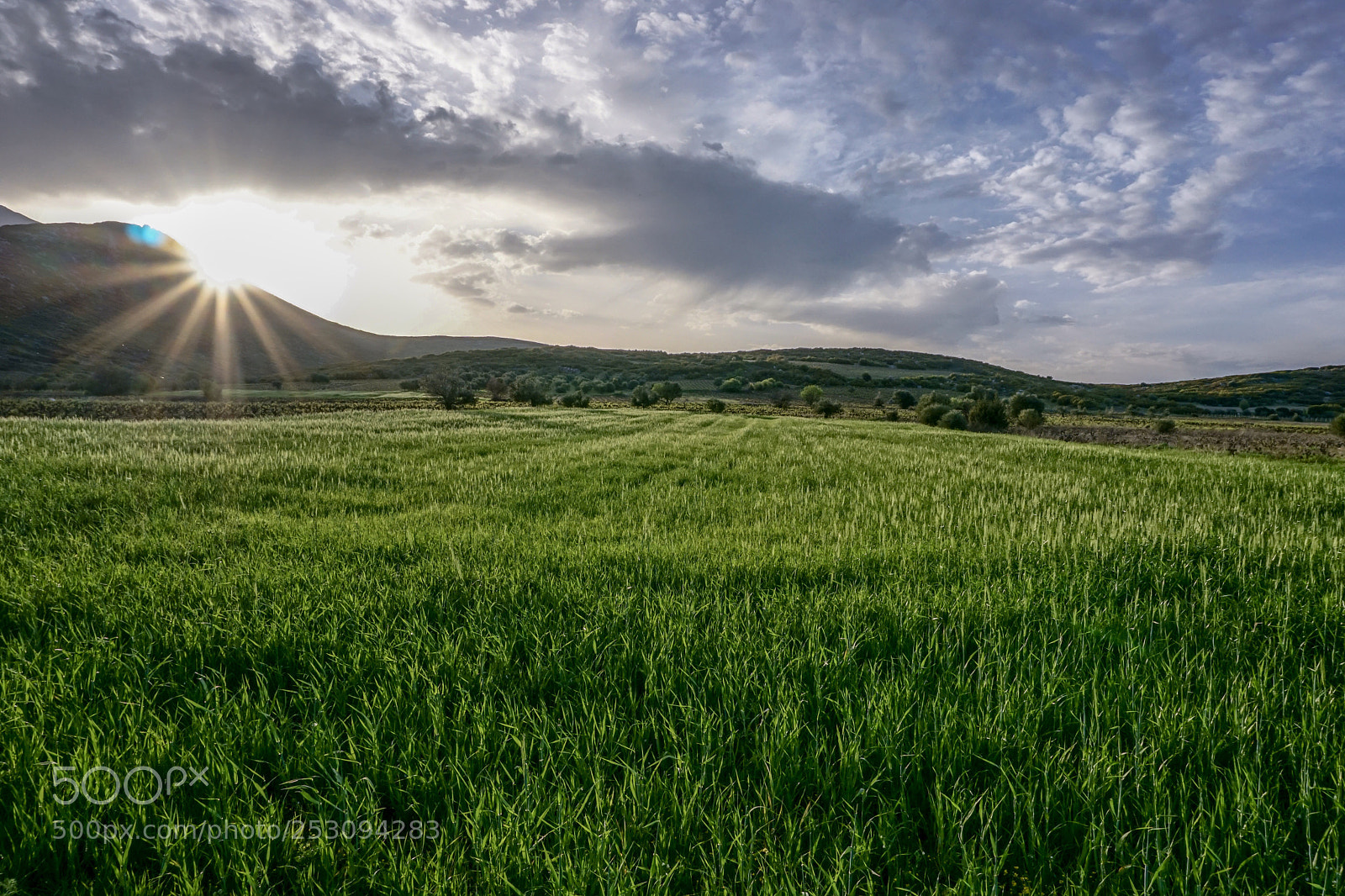 Sony a6000 sample photo. Musesestate photography