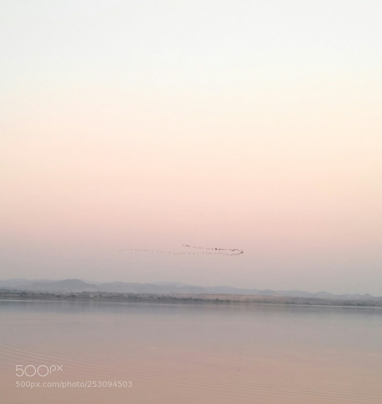 Xiaomi Redmi 3S sample photo. Untitled photography