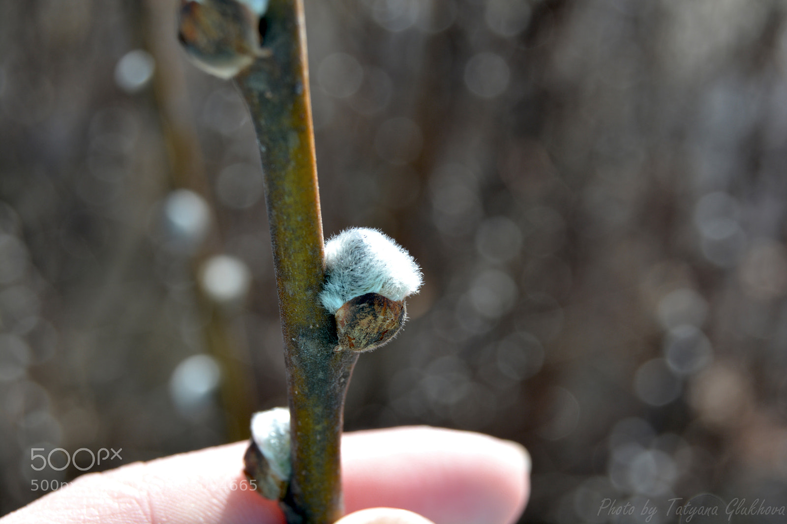 Nikon D5200 sample photo. Untitled photography