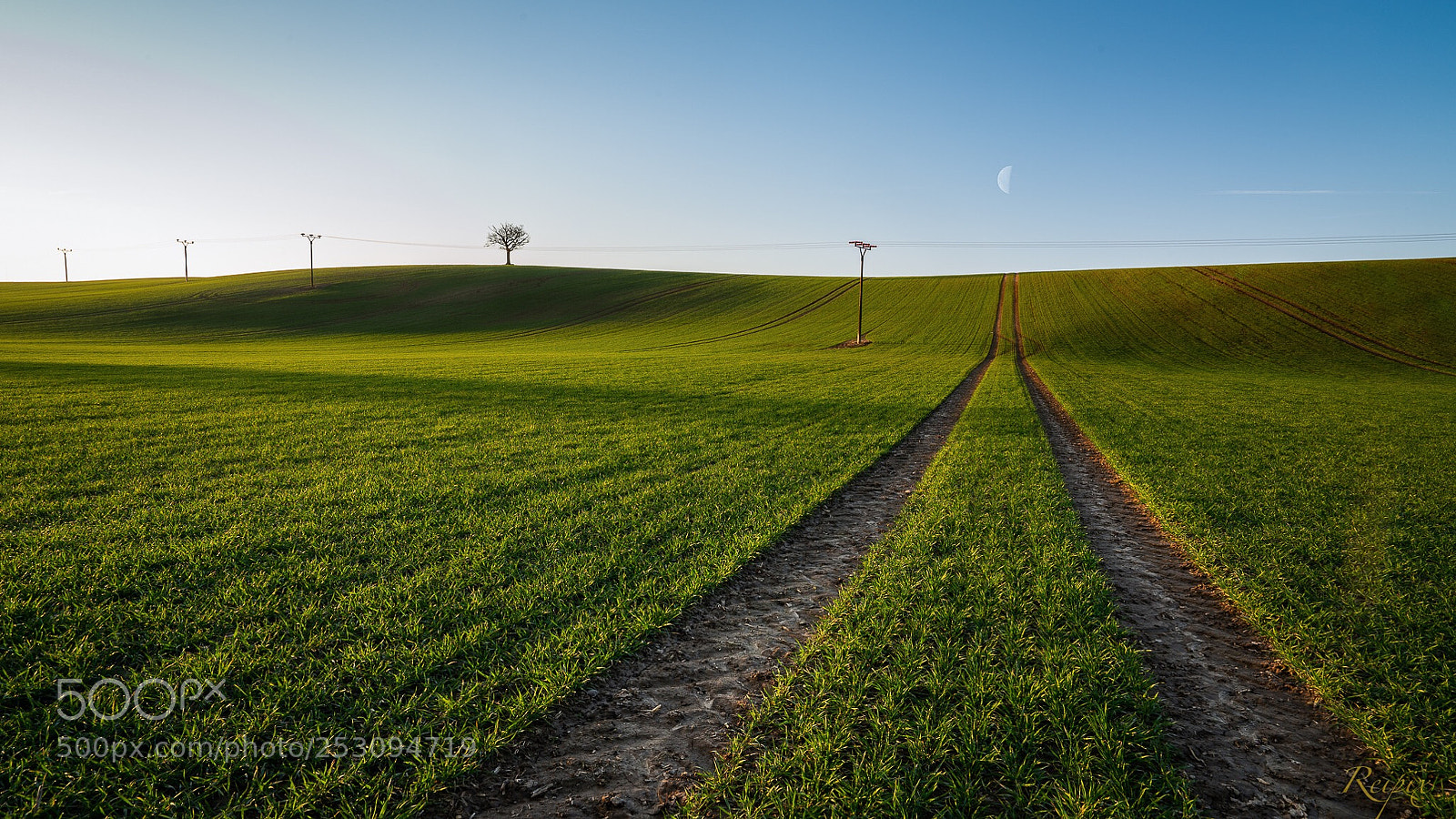 Sony a7R III sample photo. Untitled photography