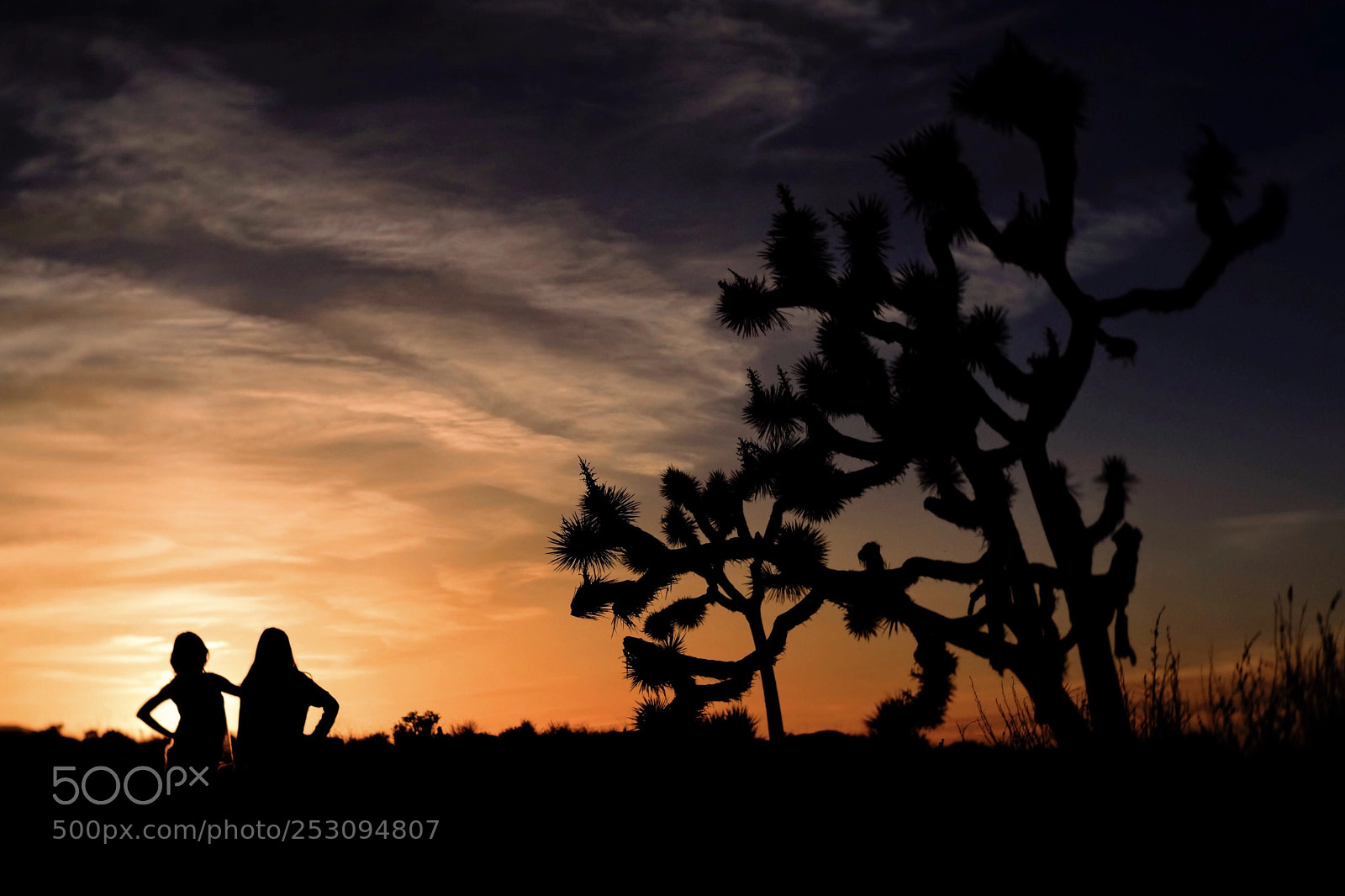 Nikon D810 sample photo. Silhouettes are wonderful ...  photography