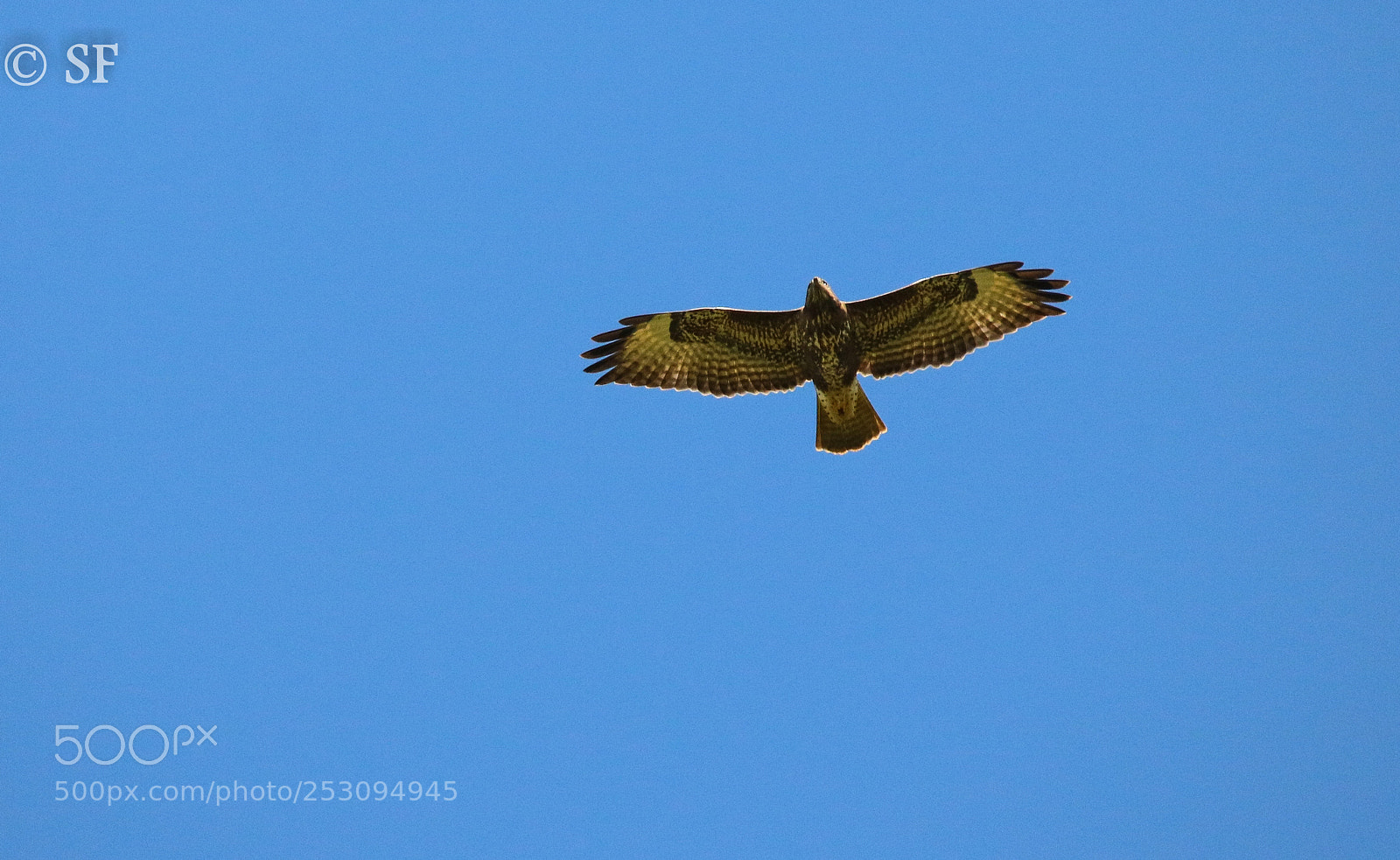 Canon EOS 750D (EOS Rebel T6i / EOS Kiss X8i) sample photo. Up in the sky photography