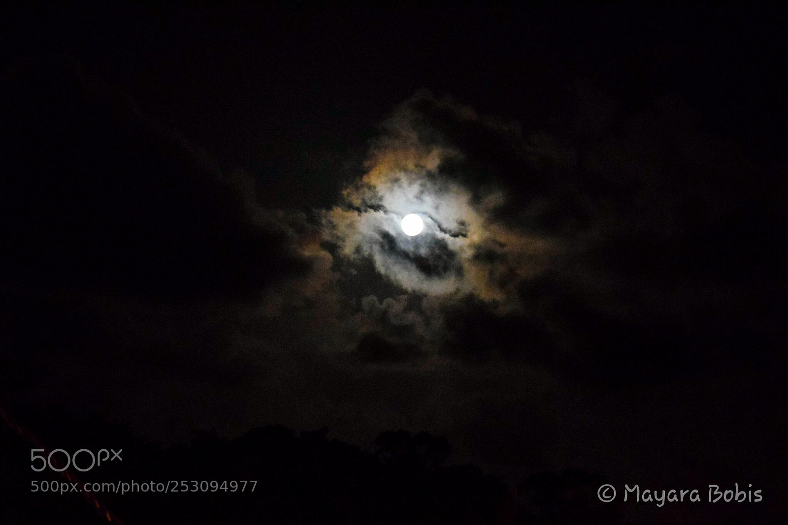 Nikon D3300 sample photo. Untitled photography