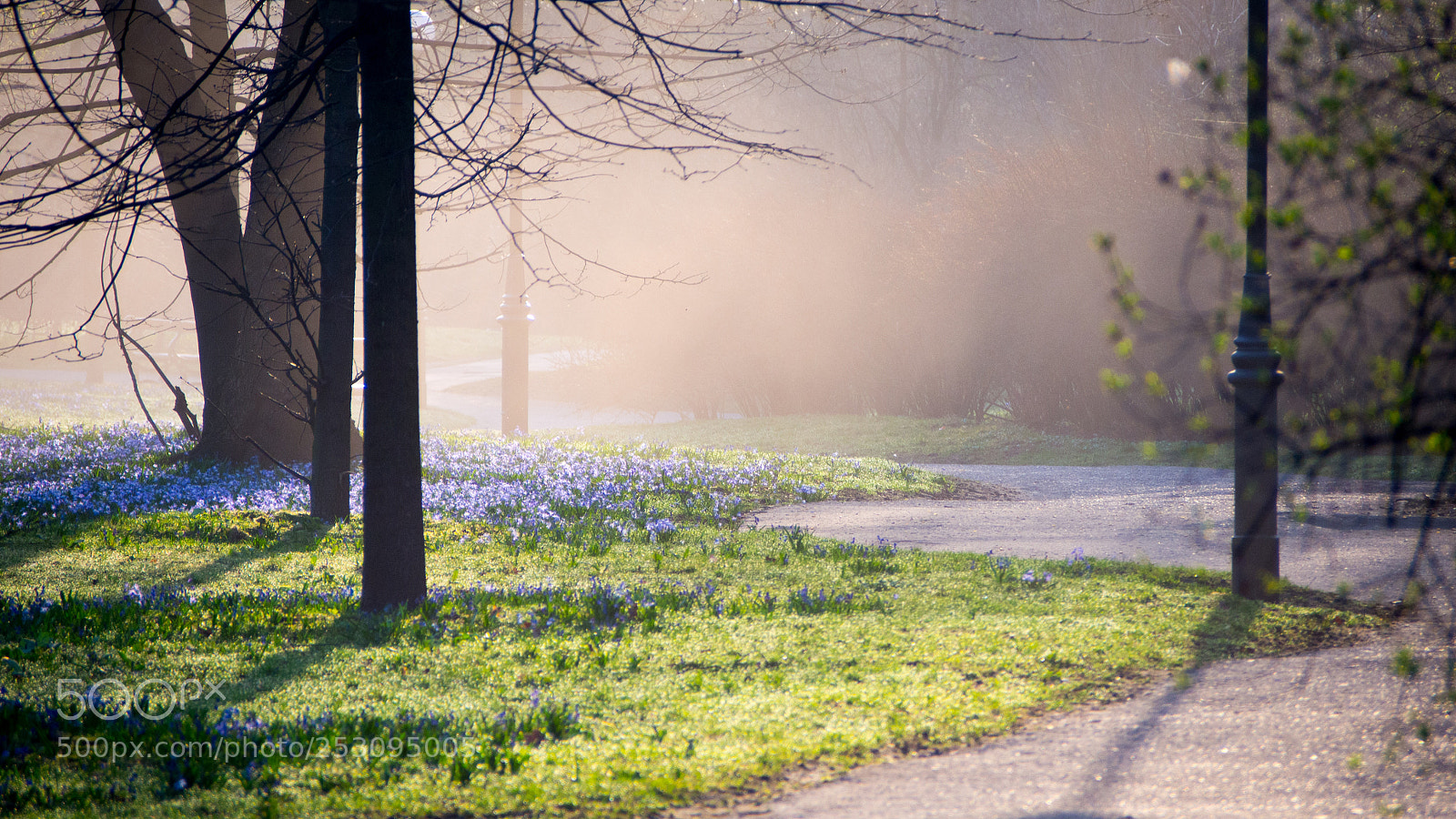 Olympus PEN E-PL5 sample photo. First steps in spring photography