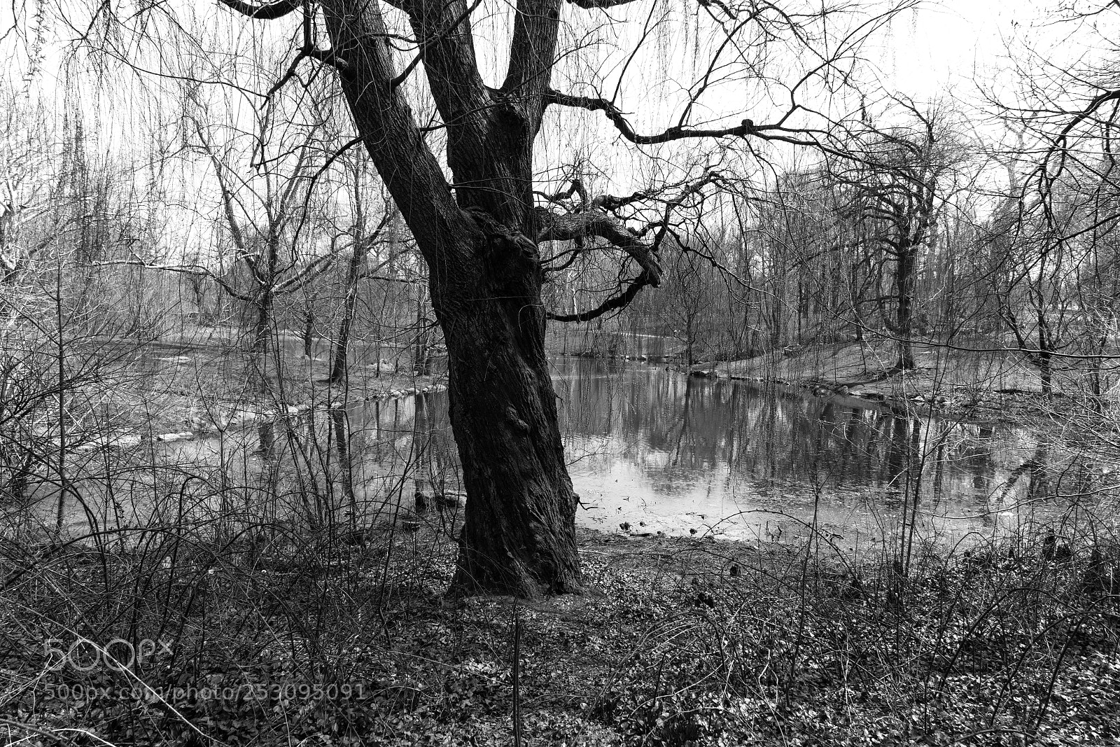 Sony a7R II sample photo. Early spring scene photography