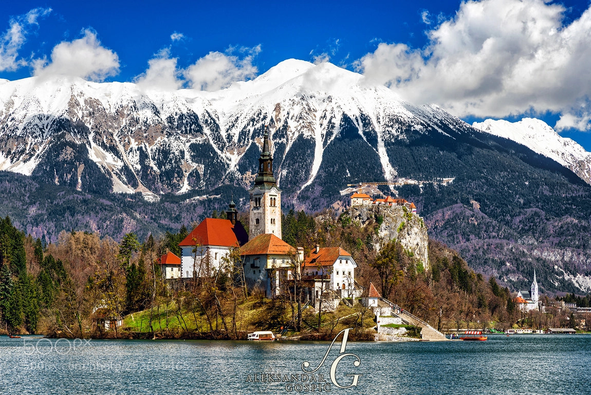 Nikon D850 sample photo. Slovenia's most wanted photography