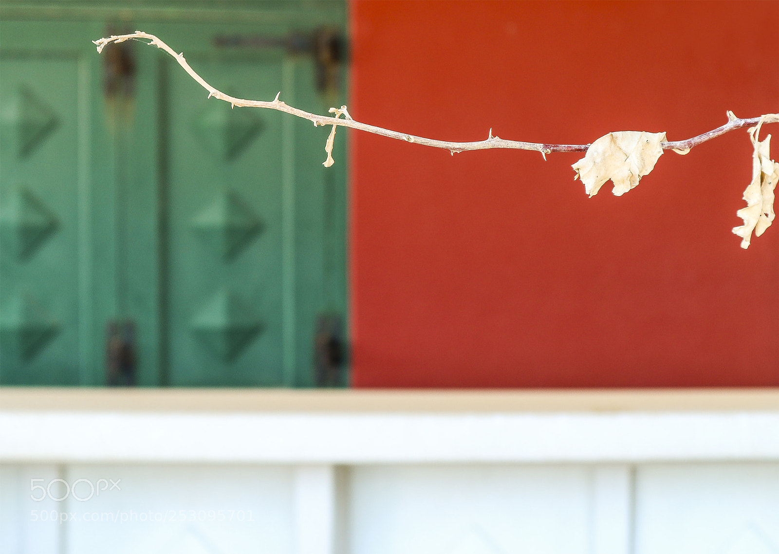 Canon EOS M10 sample photo. Color game photography