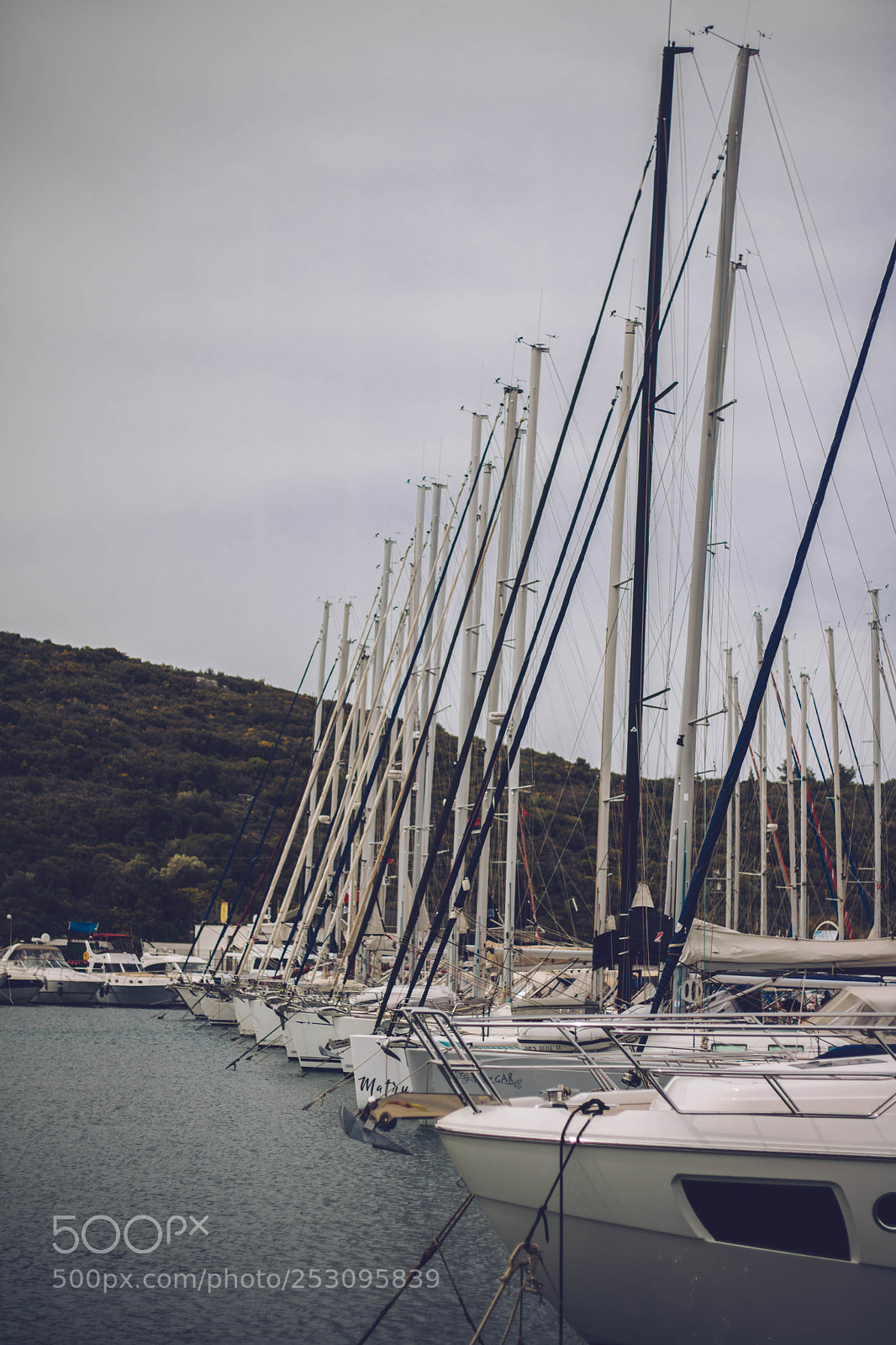 Canon EOS 750D (EOS Rebel T6i / EOS Kiss X8i) sample photo. Sailors photography