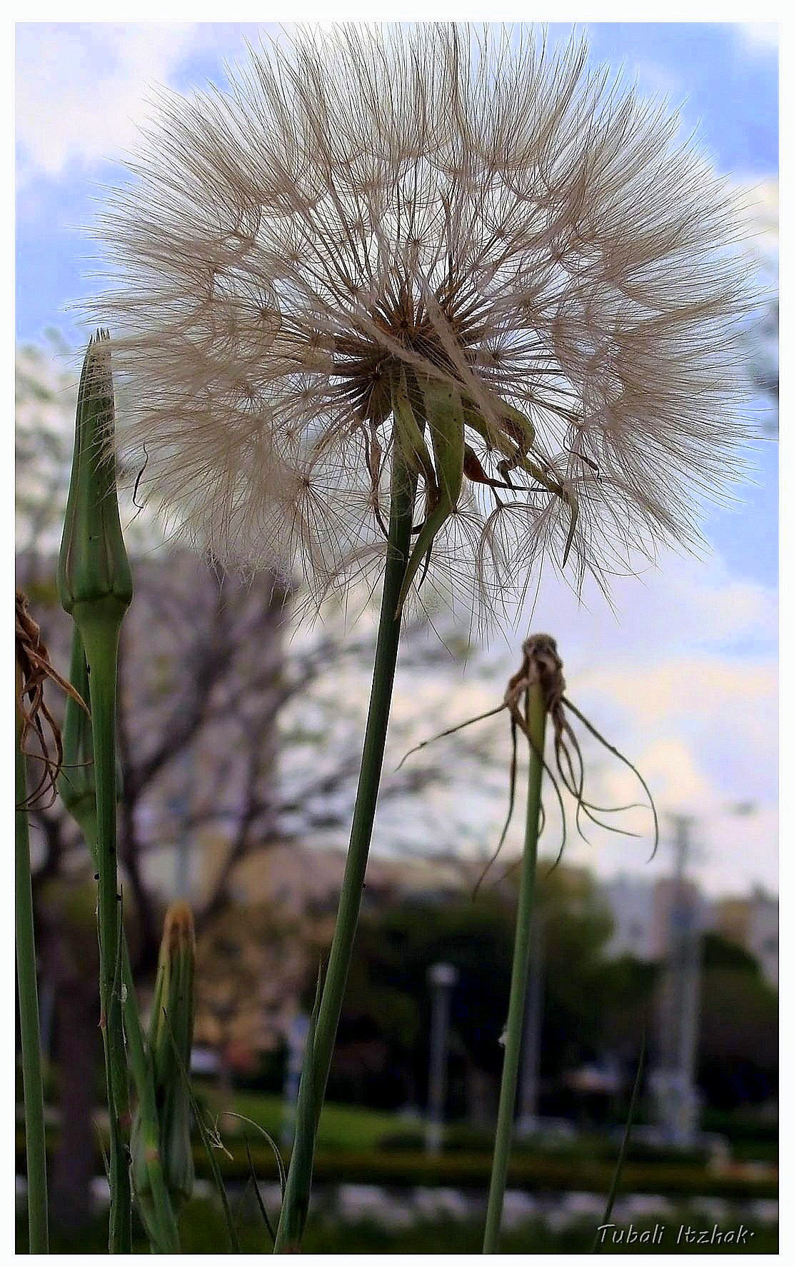 Sony Cyber-shot DSC-H10 sample photo. Waiting for the wind...ashdod. photography