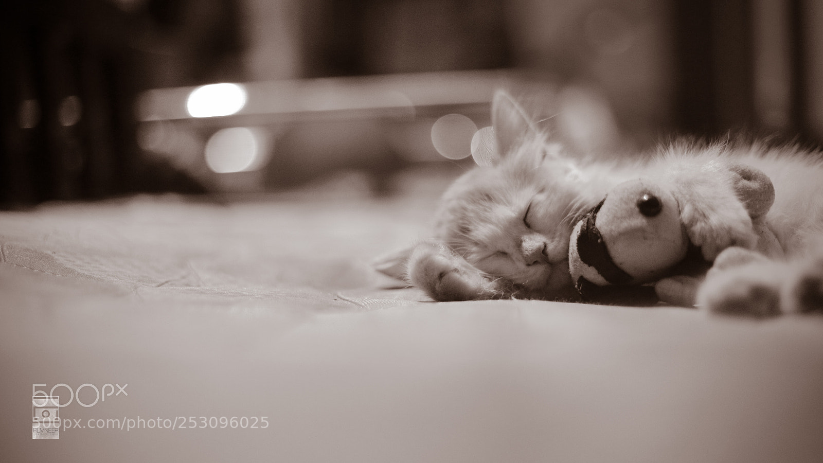 Canon EOS 6D Mark II sample photo. Sleep tight photography