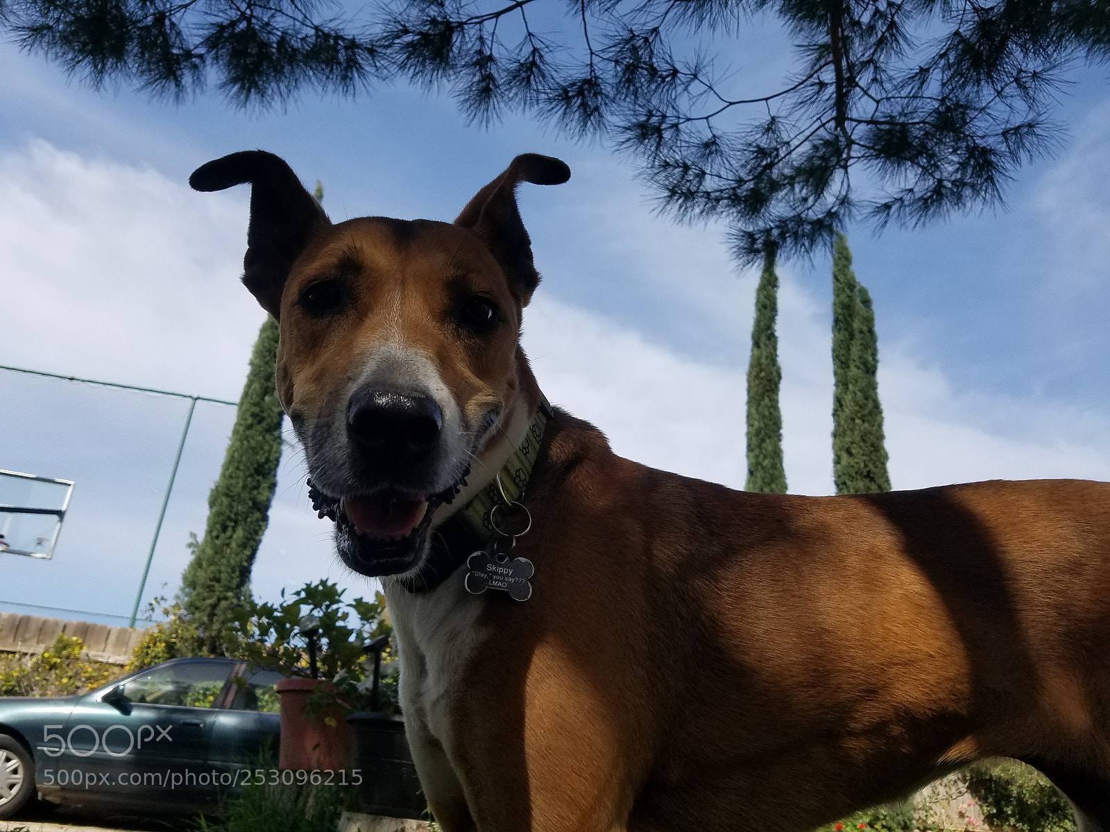Samsung Galaxy S7 sample photo. Untitled photography