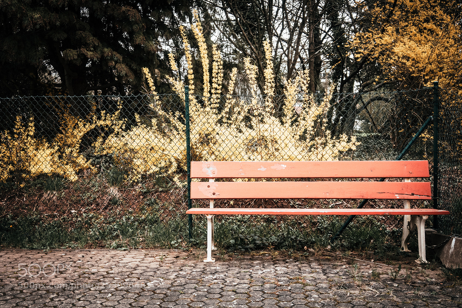 Canon PowerShot G5 X sample photo. Red bench 100/365 (no people) photography