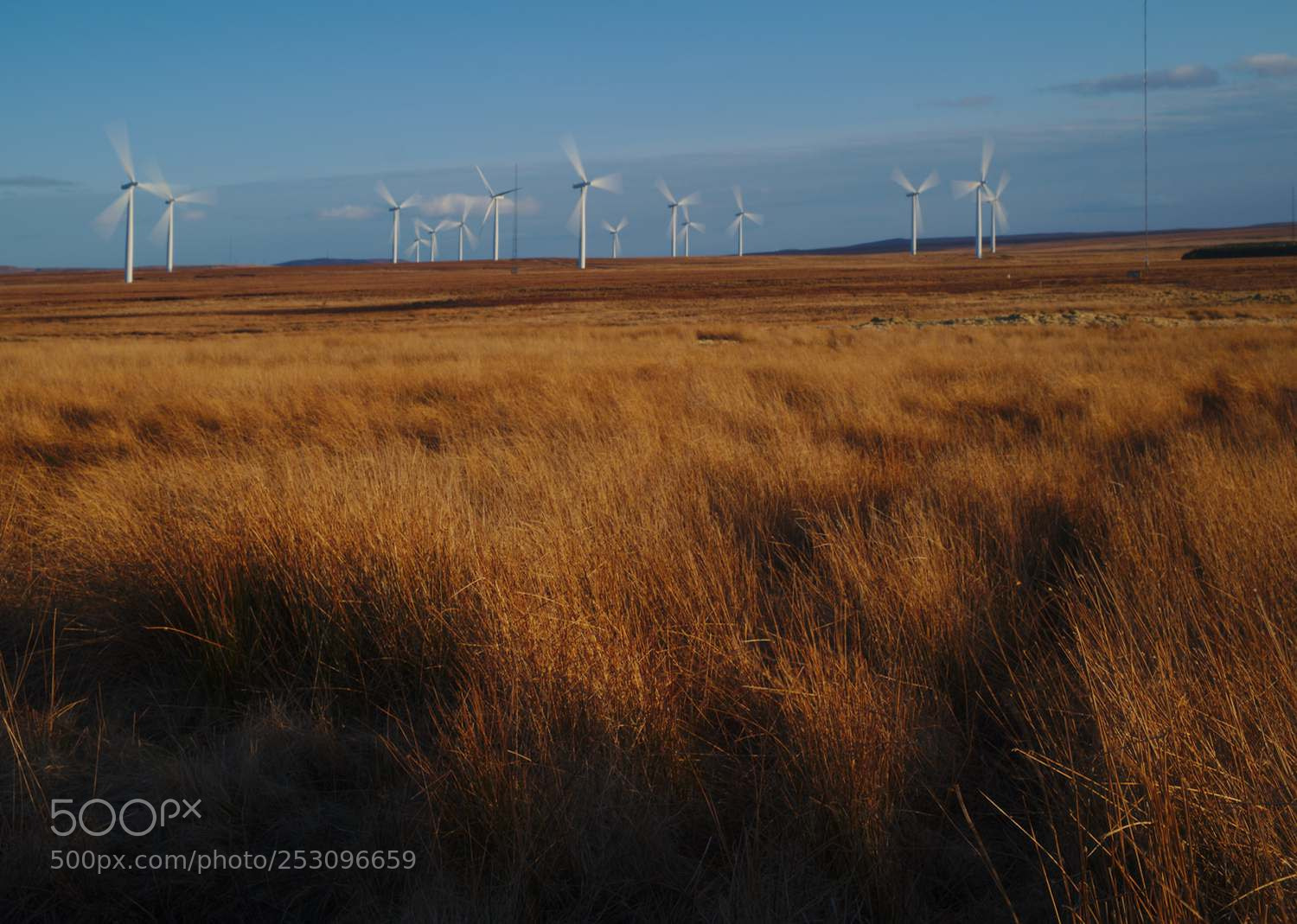 Fujifilm X-Pro1 sample photo. Caithness photography
