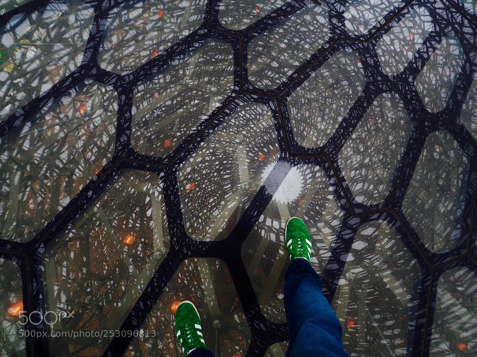 Olympus OM-D E-M5 II sample photo. Honeycomb photography