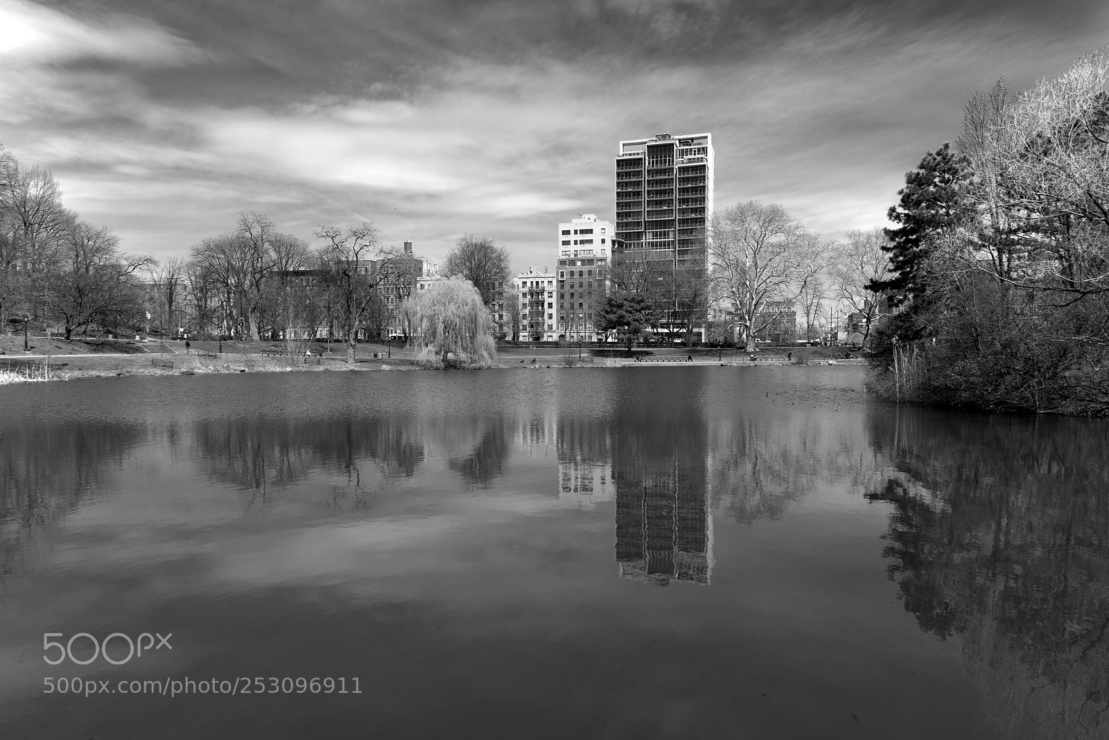 Sony a7R II sample photo. Harlem meer photography