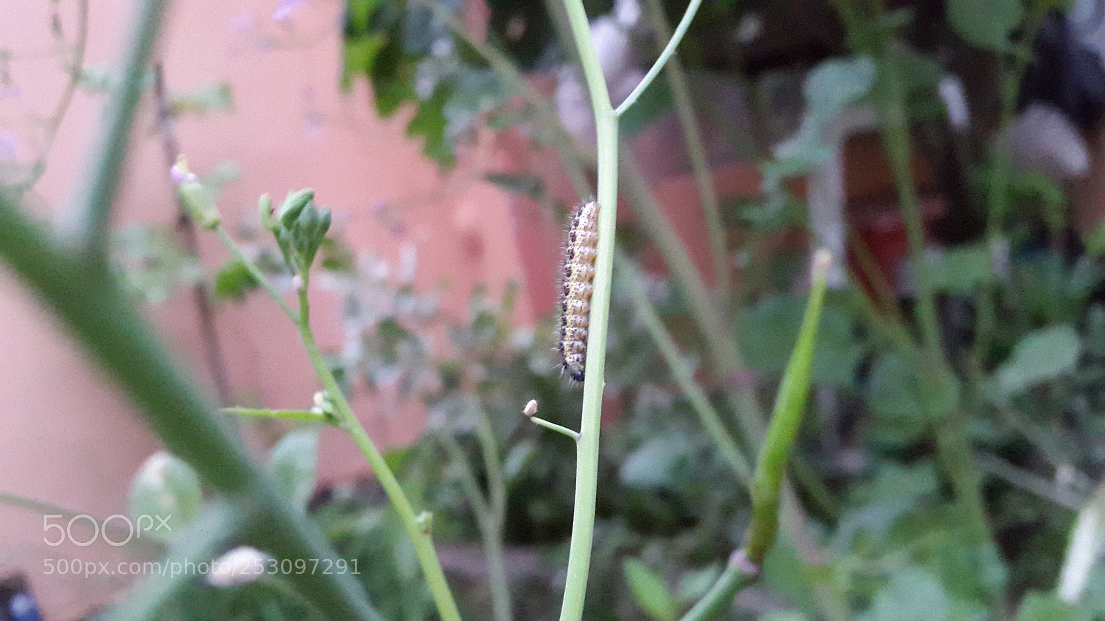 Samsung Galaxy S5 sample photo. After the rain photography
