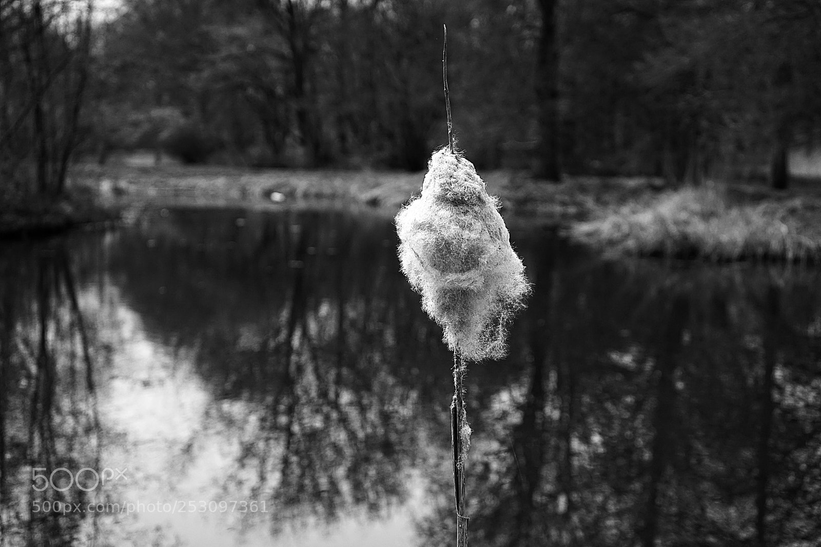 Sony a7 II sample photo. Mk photography