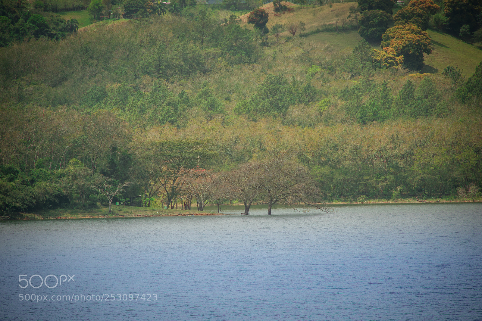 Nikon D3400 sample photo. Two trees photography