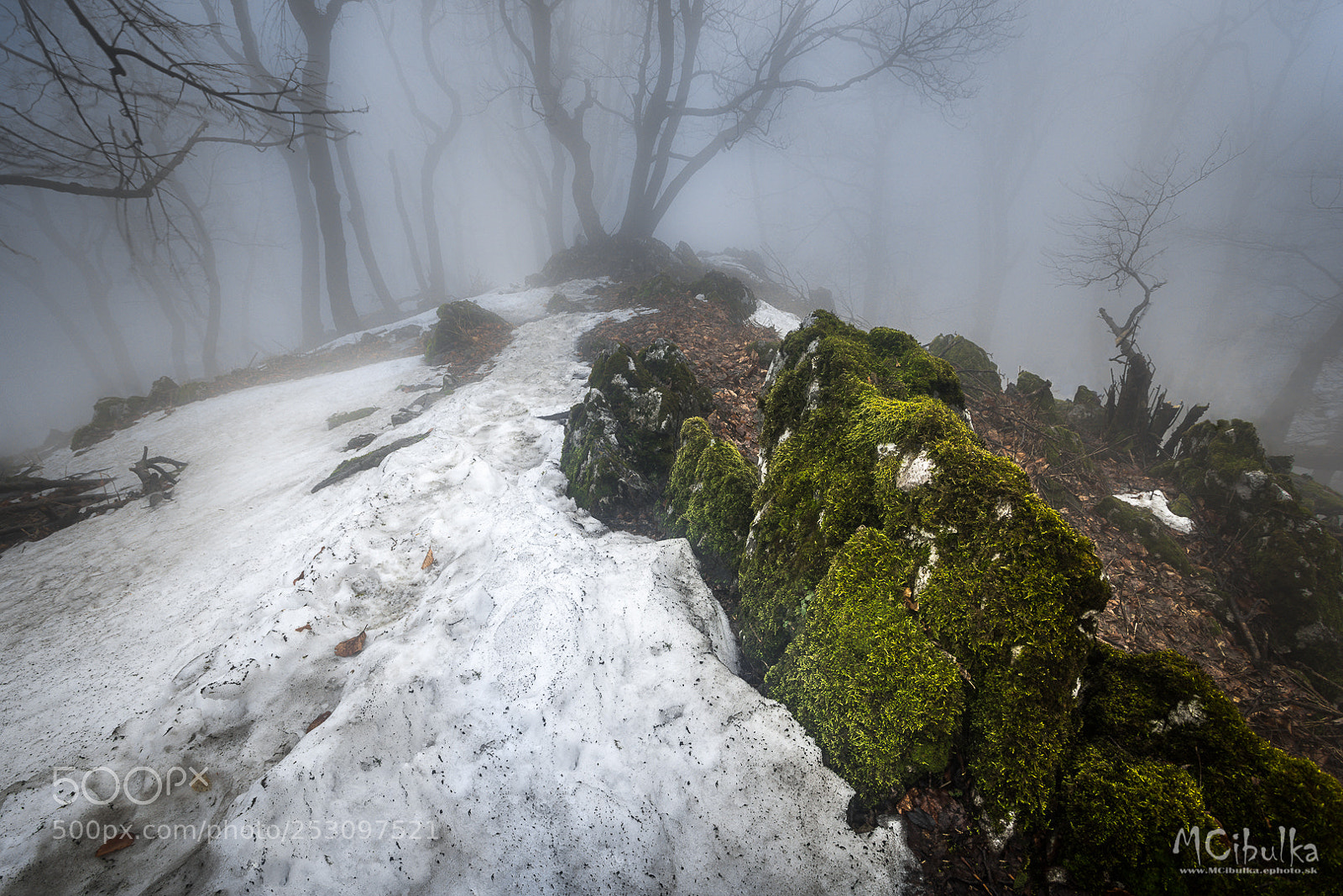Sony a7R sample photo. Path photography