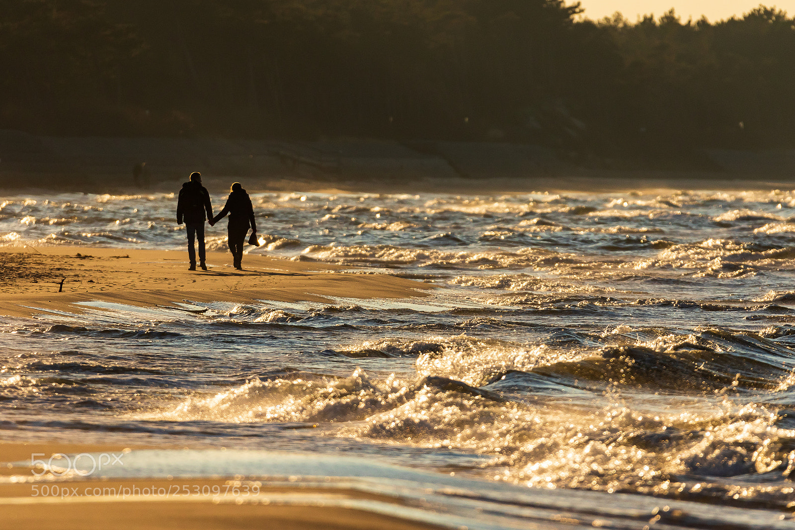 Canon EOS 7D Mark II sample photo. Walk photography