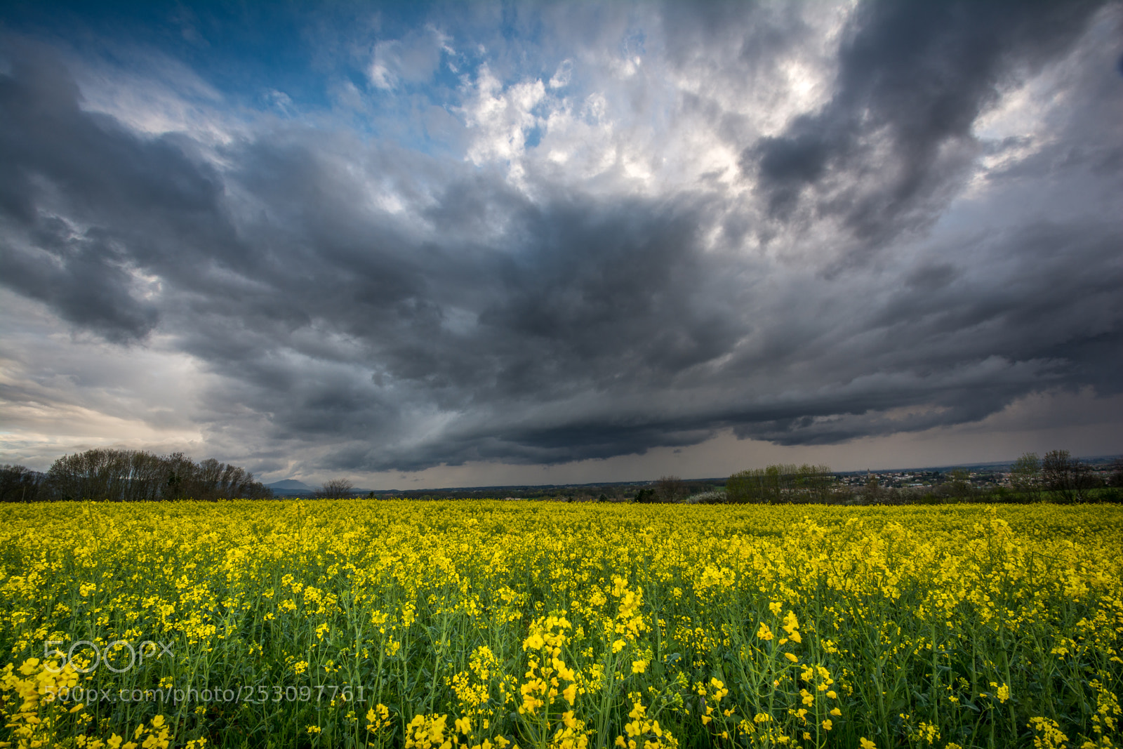 Nikon D7100 sample photo. Orage photography