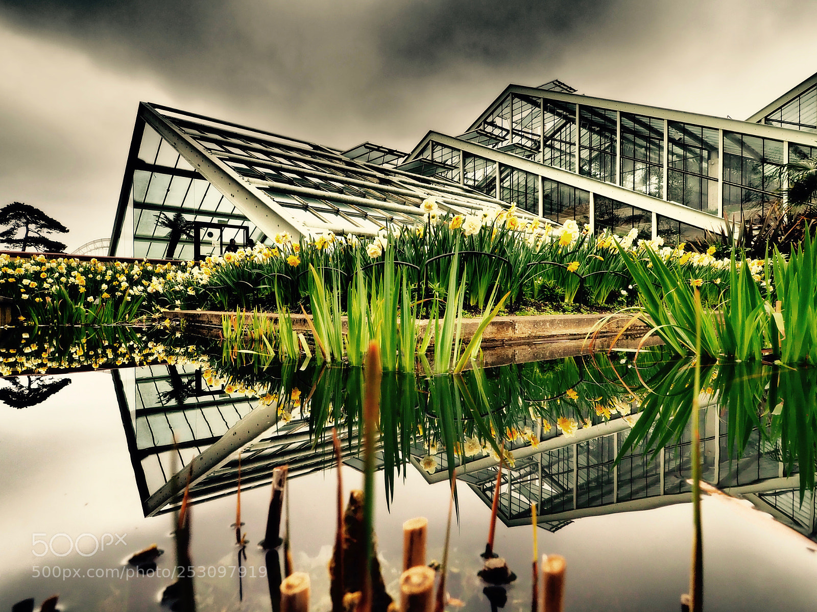Olympus OM-D E-M5 II sample photo. Greenhouse, kew, london. photography