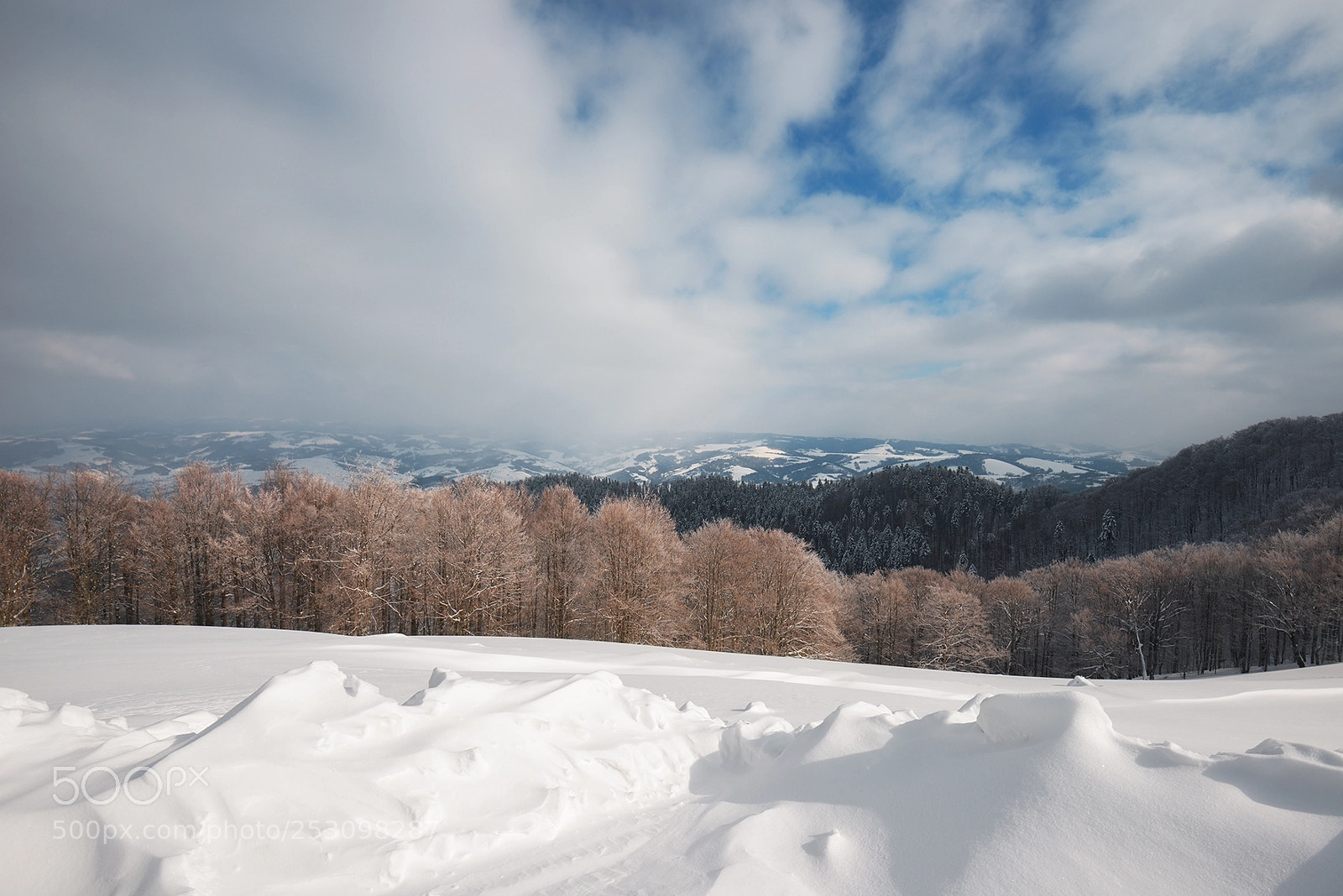 Nikon D610 sample photo. Winter frost photography