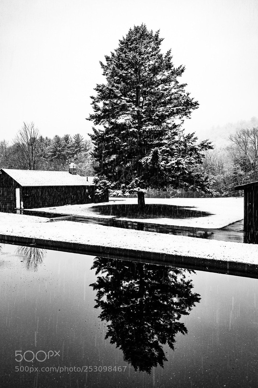 Sony a7R II sample photo. Winter reflection photography