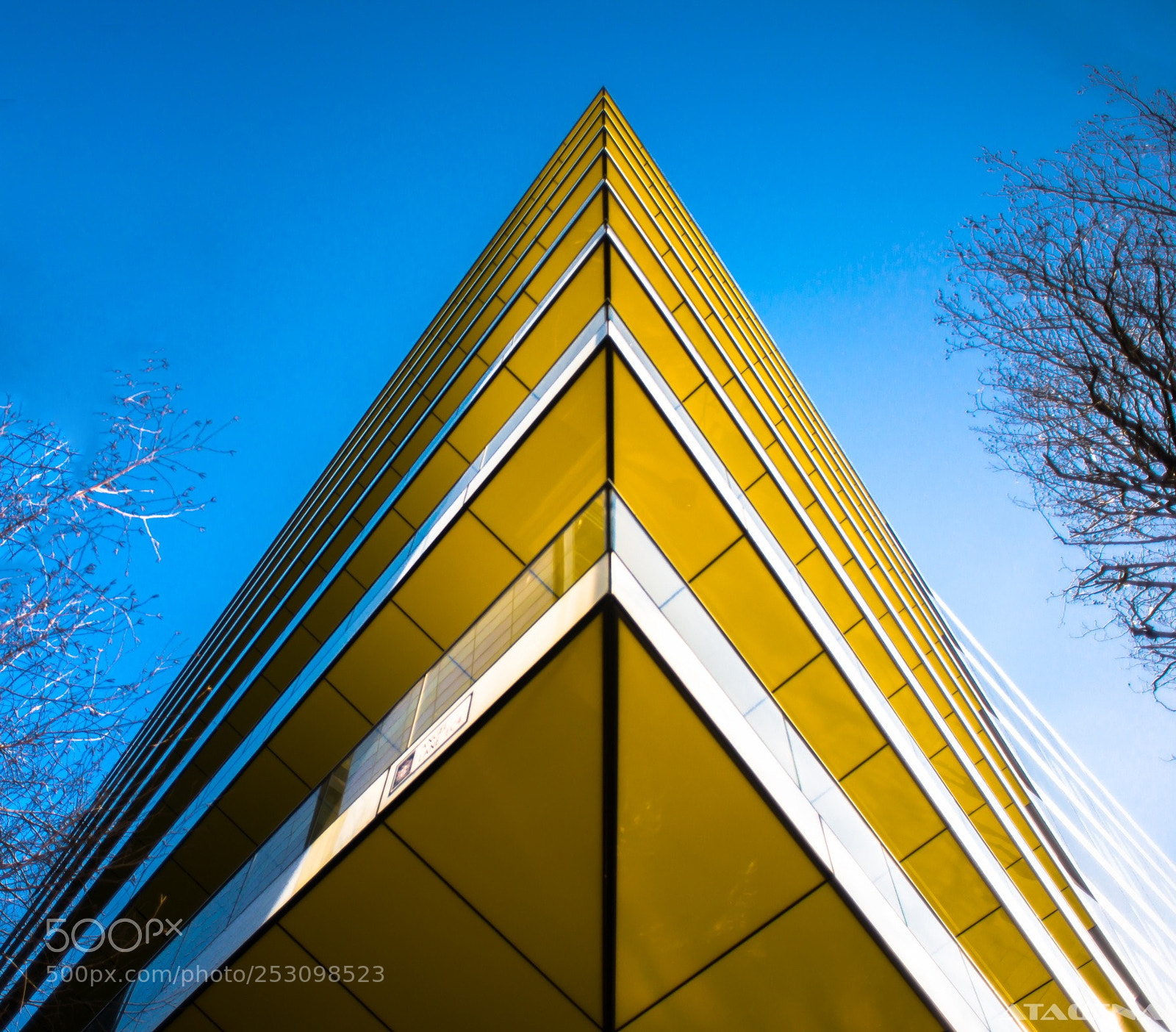 Nikon D800 sample photo. Untitled photography