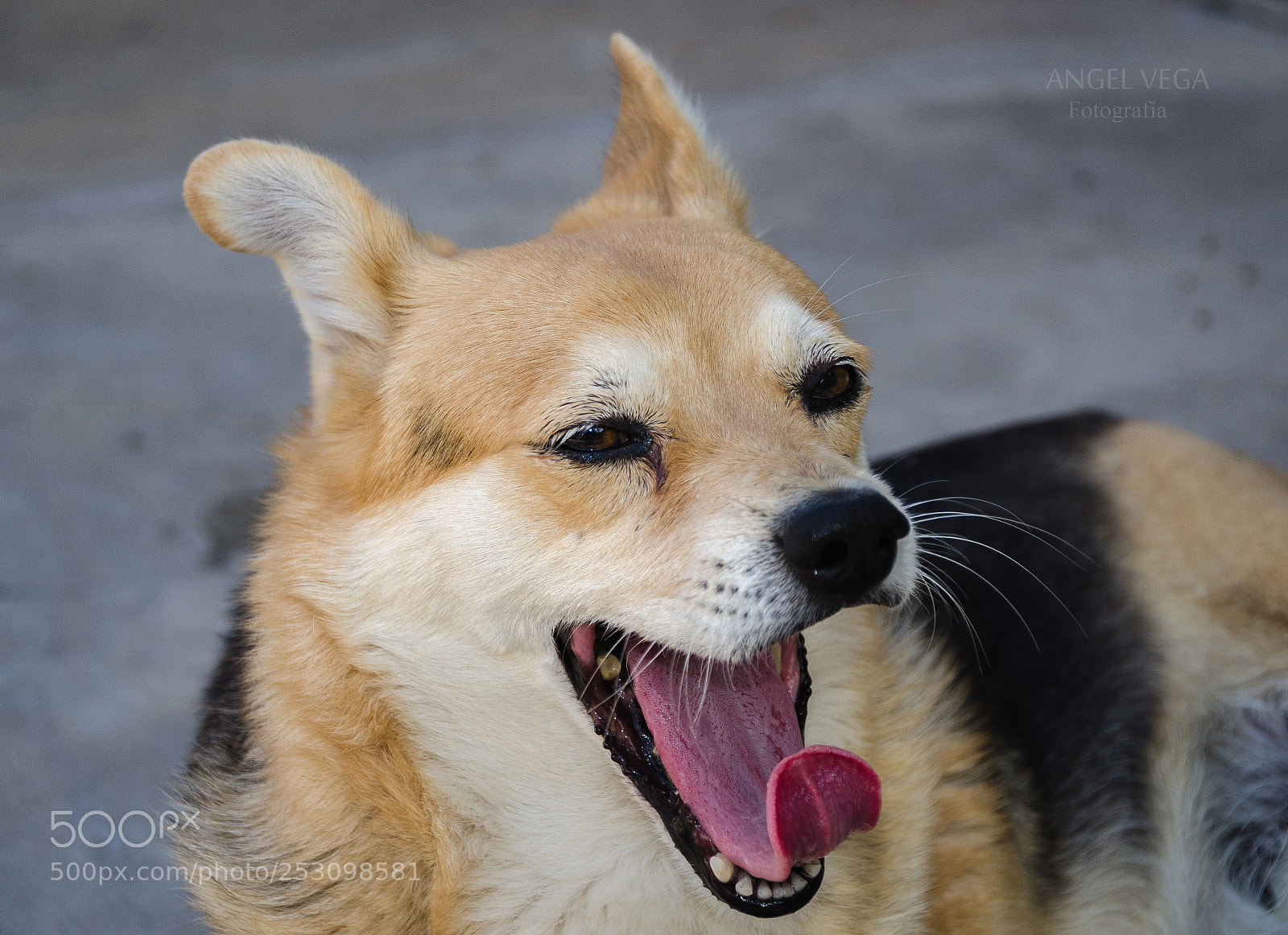 Nikon D7000 sample photo. Me parece que estamos photography