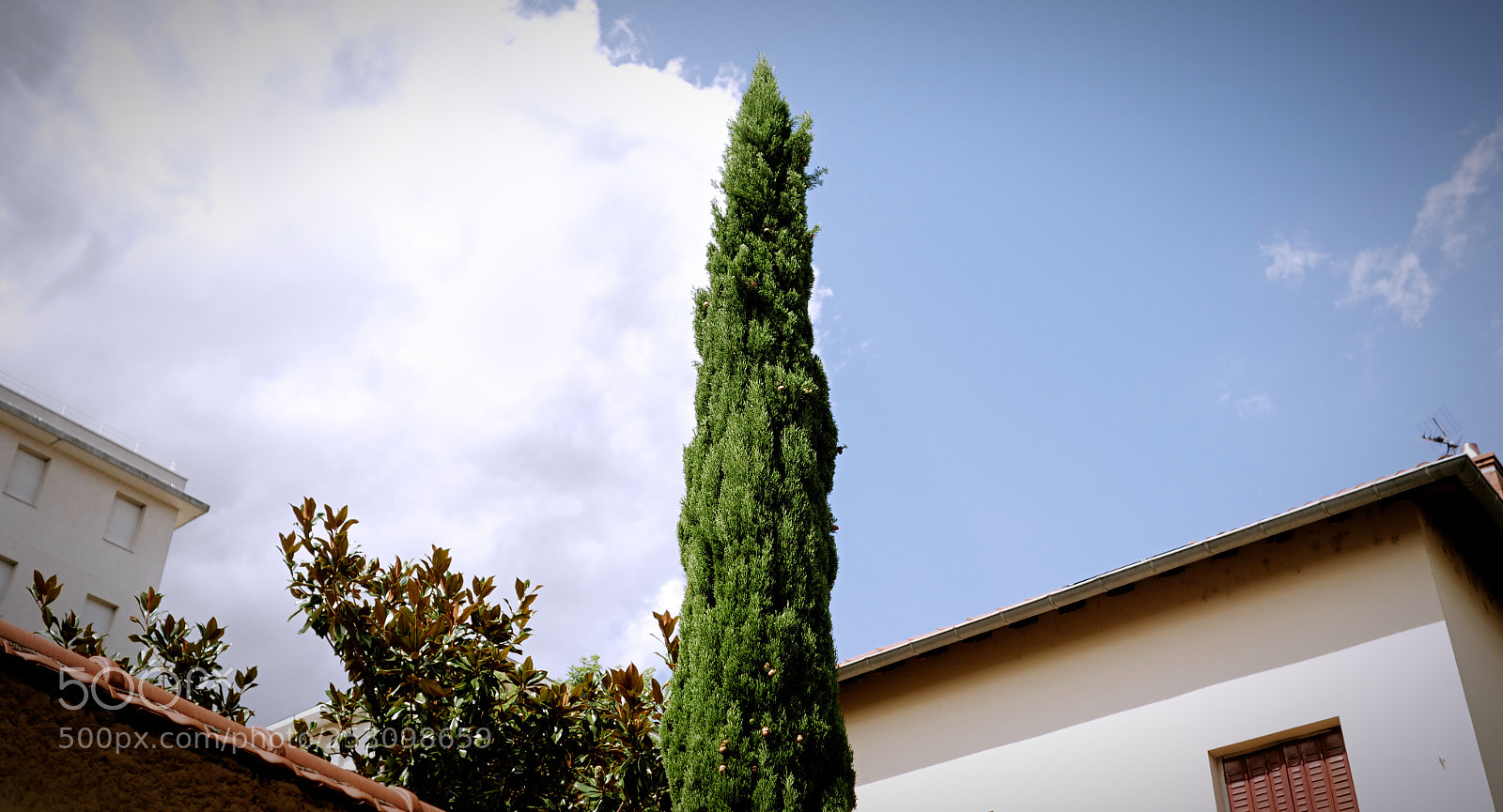 Panasonic Lumix DC-GH5 sample photo. L'attrape-nuages photography