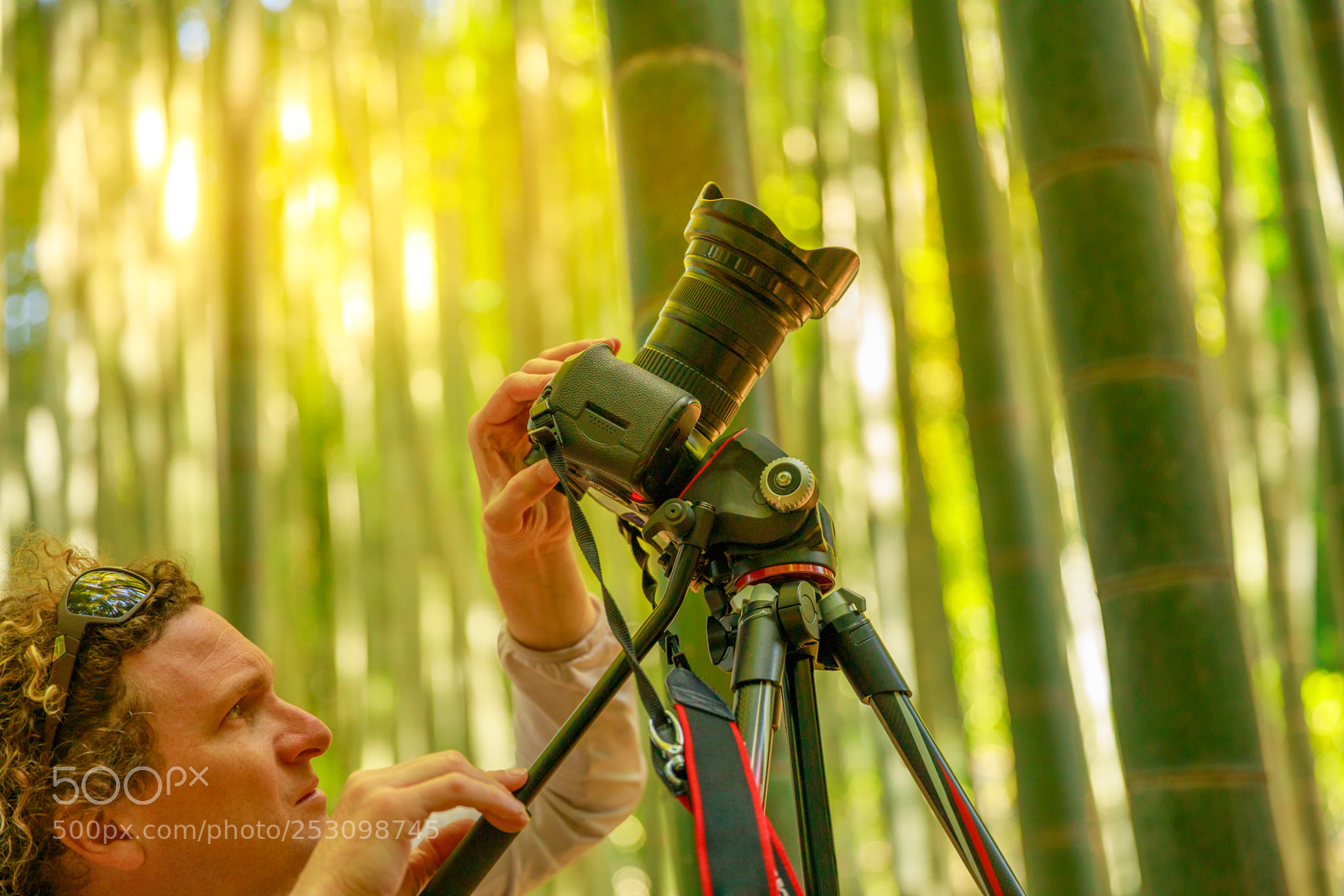 Canon EOS 5D Mark IV sample photo. Take-dera nature photographer photography