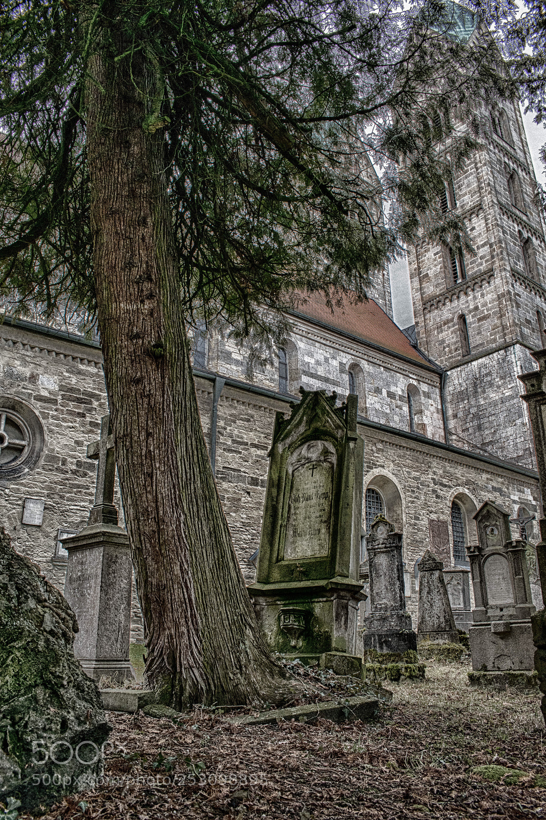 Nikon D5500 sample photo. Arise photography