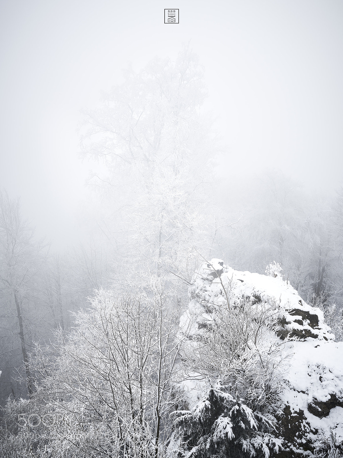 Sony a7R II sample photo. Frosty branches photography