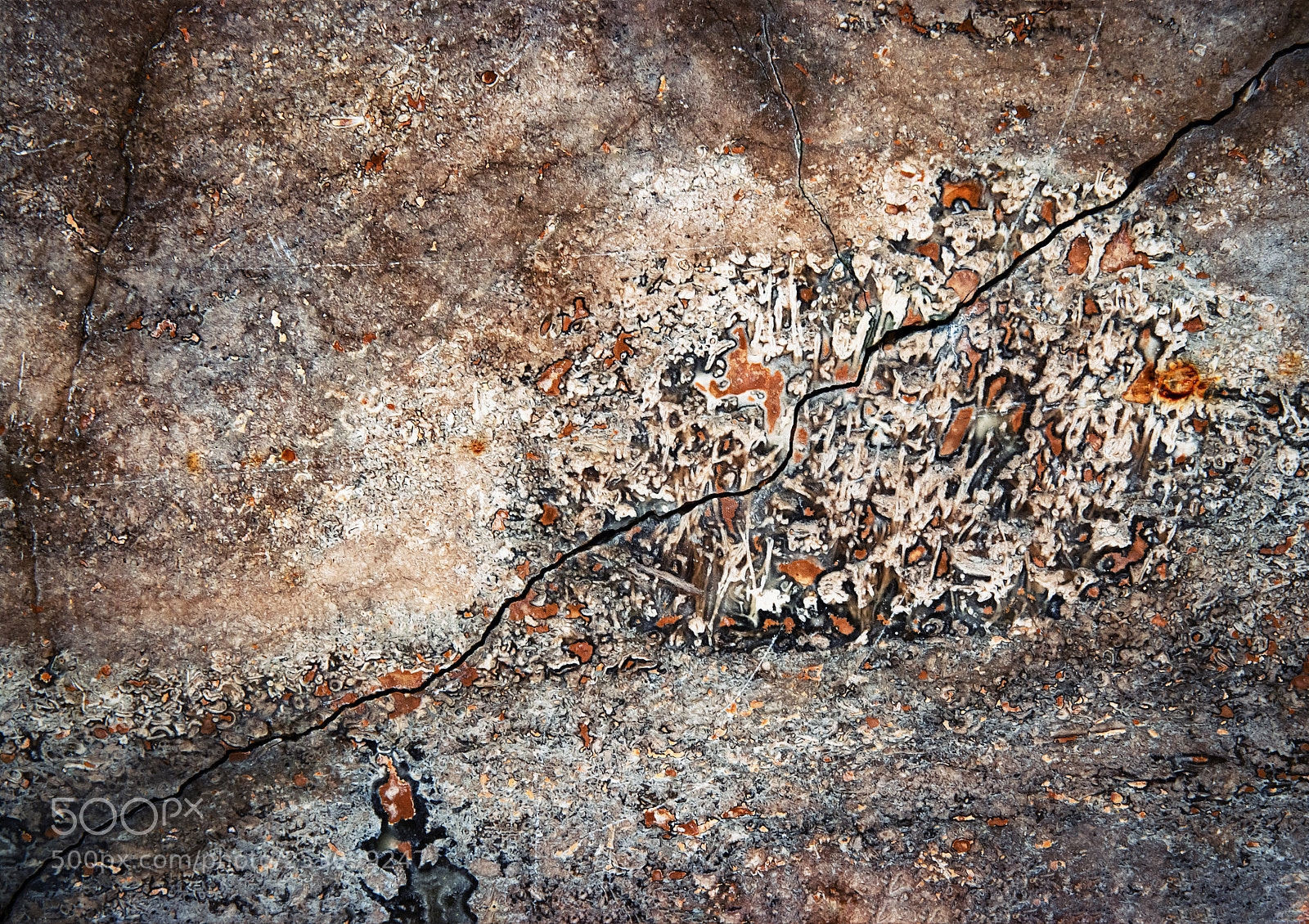 Nikon D5500 sample photo. Abstract the polished stone photography