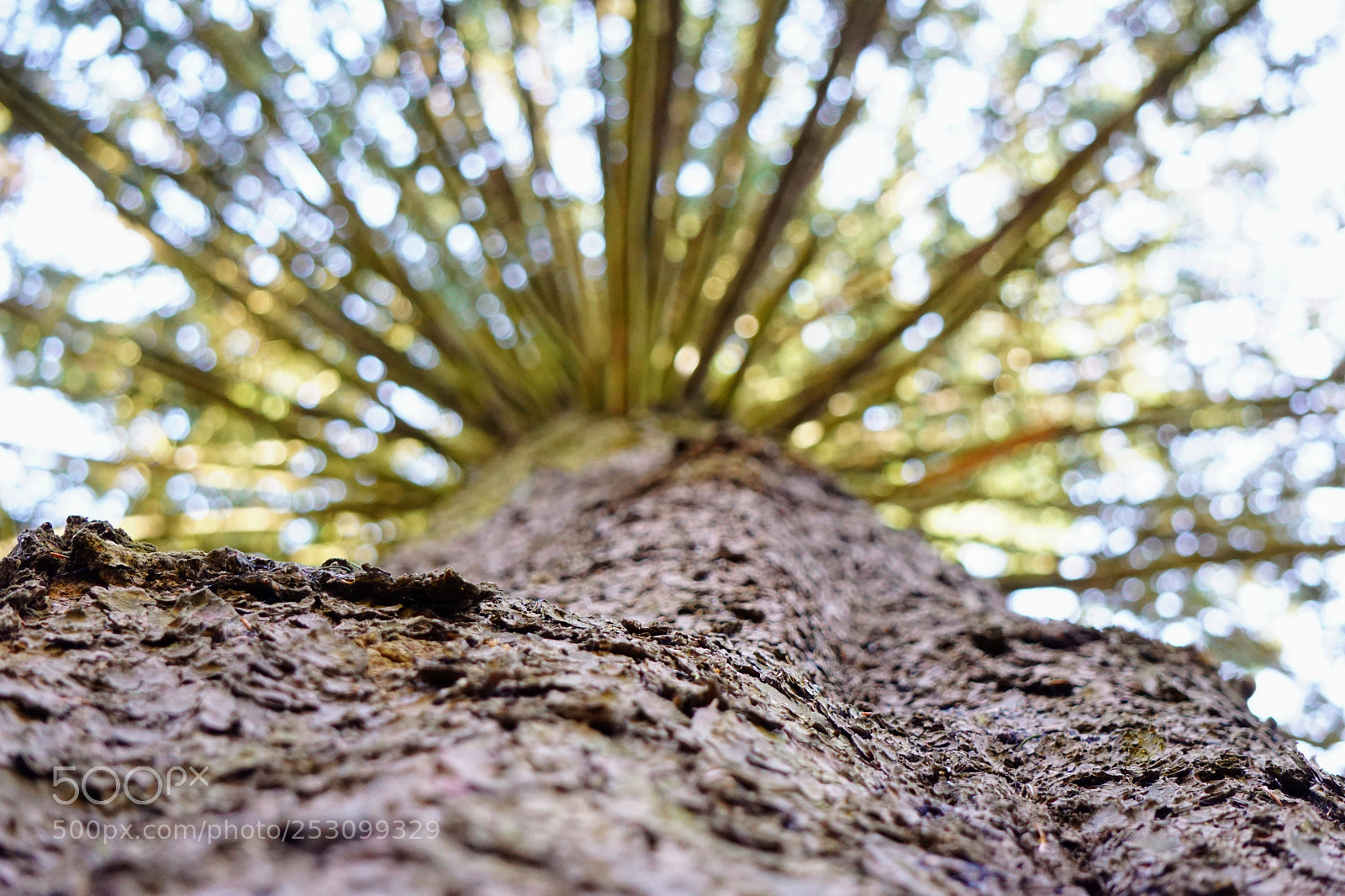 Sony a6000 sample photo. Untitled photography