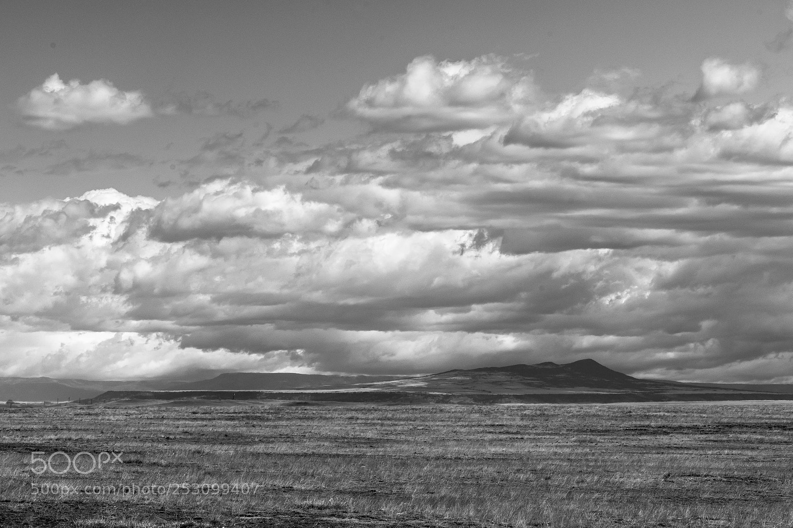 Nikon D810 sample photo. Stormy horizon photography