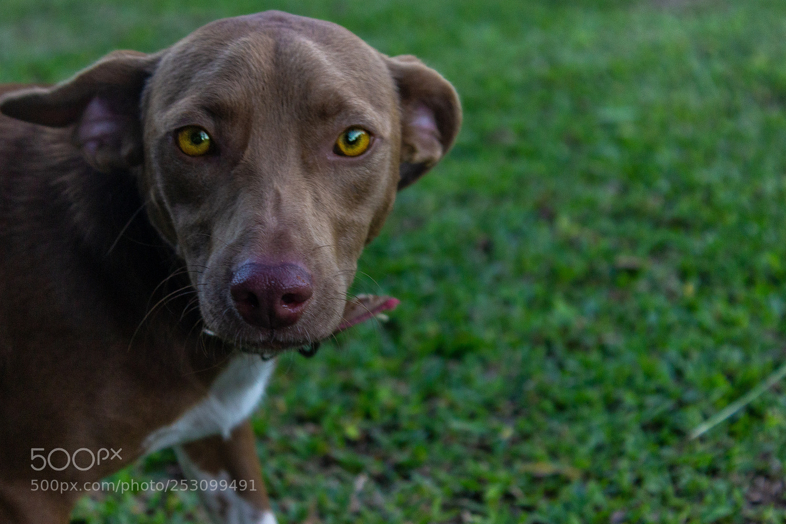 Canon EOS 600D (Rebel EOS T3i / EOS Kiss X5) sample photo. A instant.. photography
