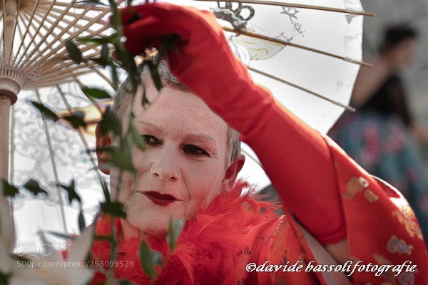 Nikon D500 sample photo. Dav photography