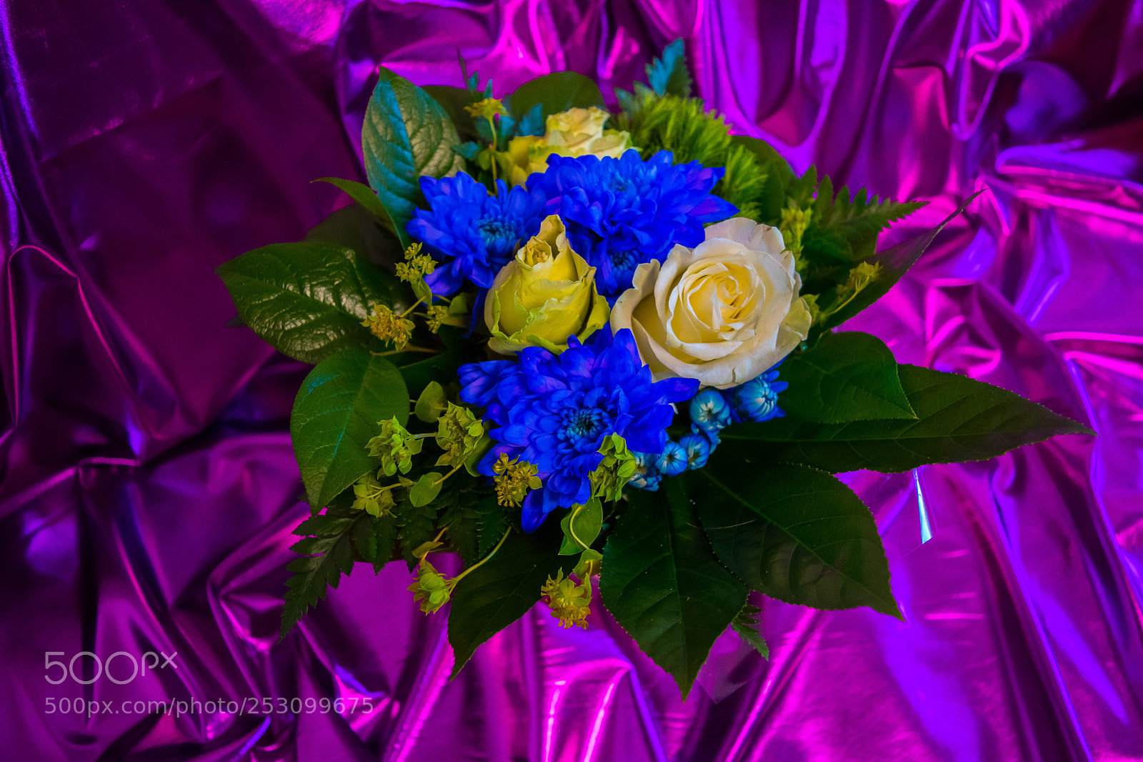 Nikon D5300 sample photo. Celebration photography