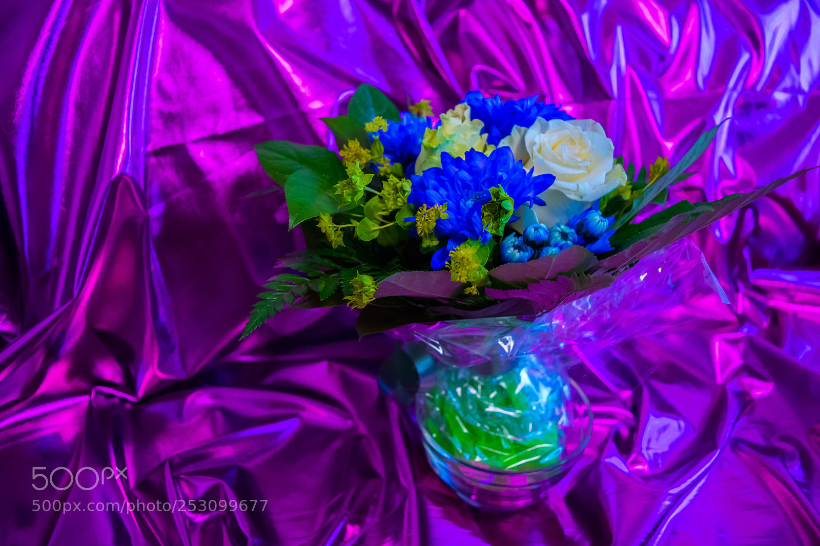 Nikon D5300 sample photo. Celebration photography