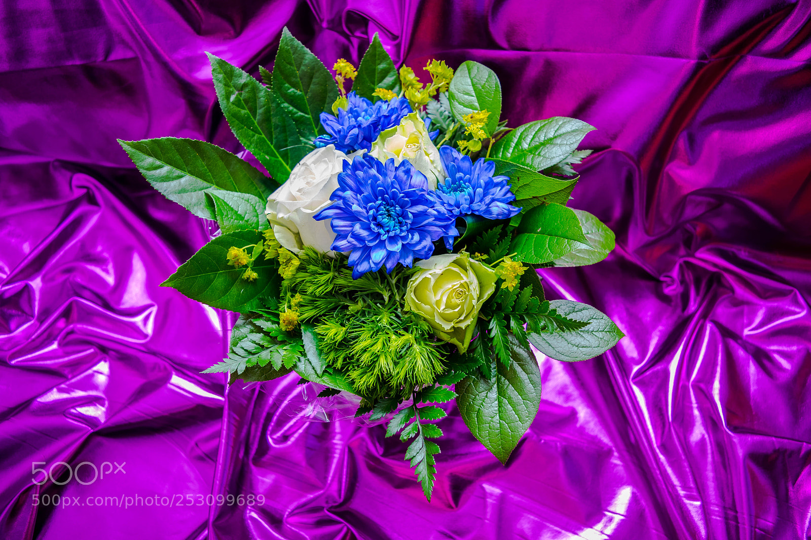 Nikon D5300 sample photo. Celebration photography